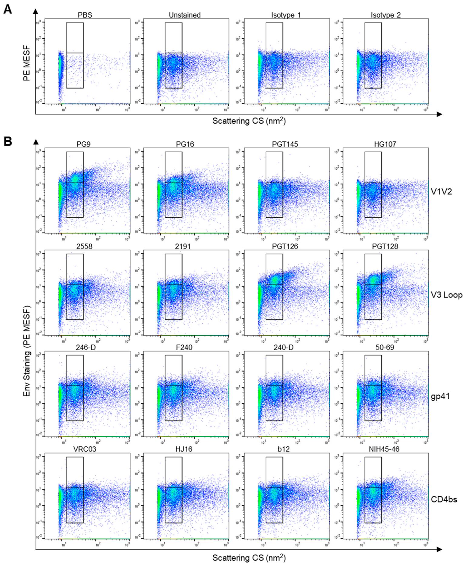 Viruses 16 00935 g001