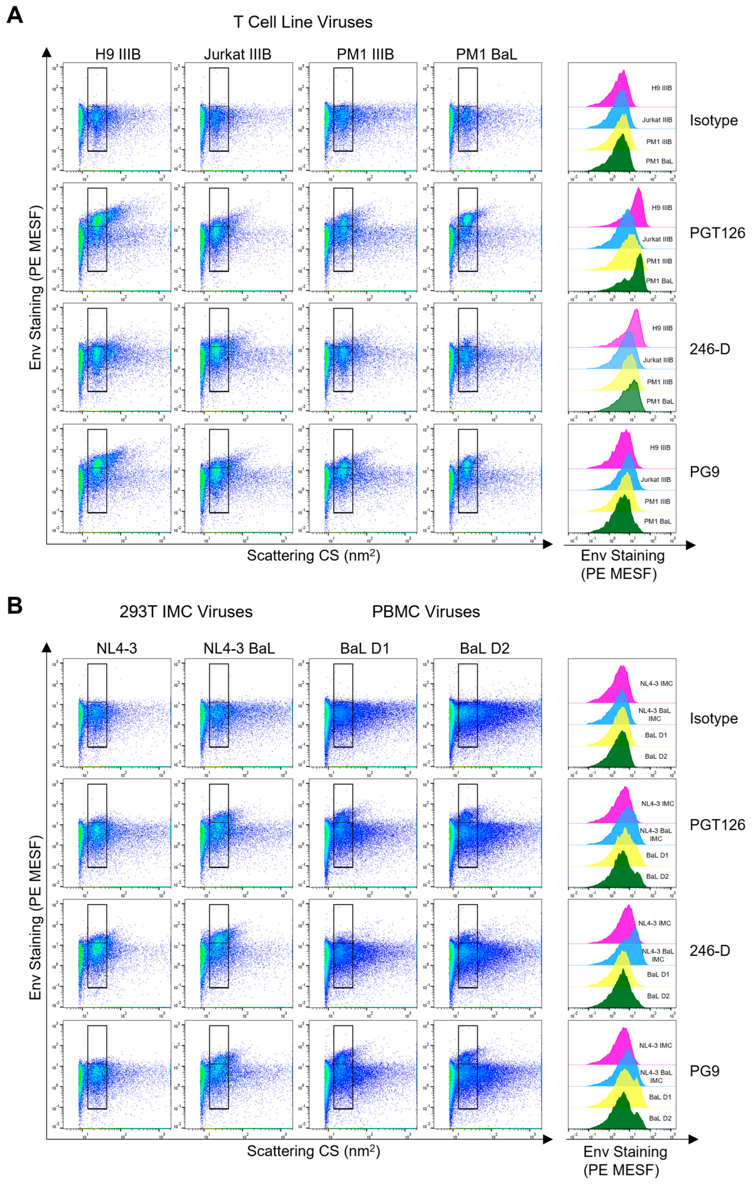 Viruses 16 00935 g002