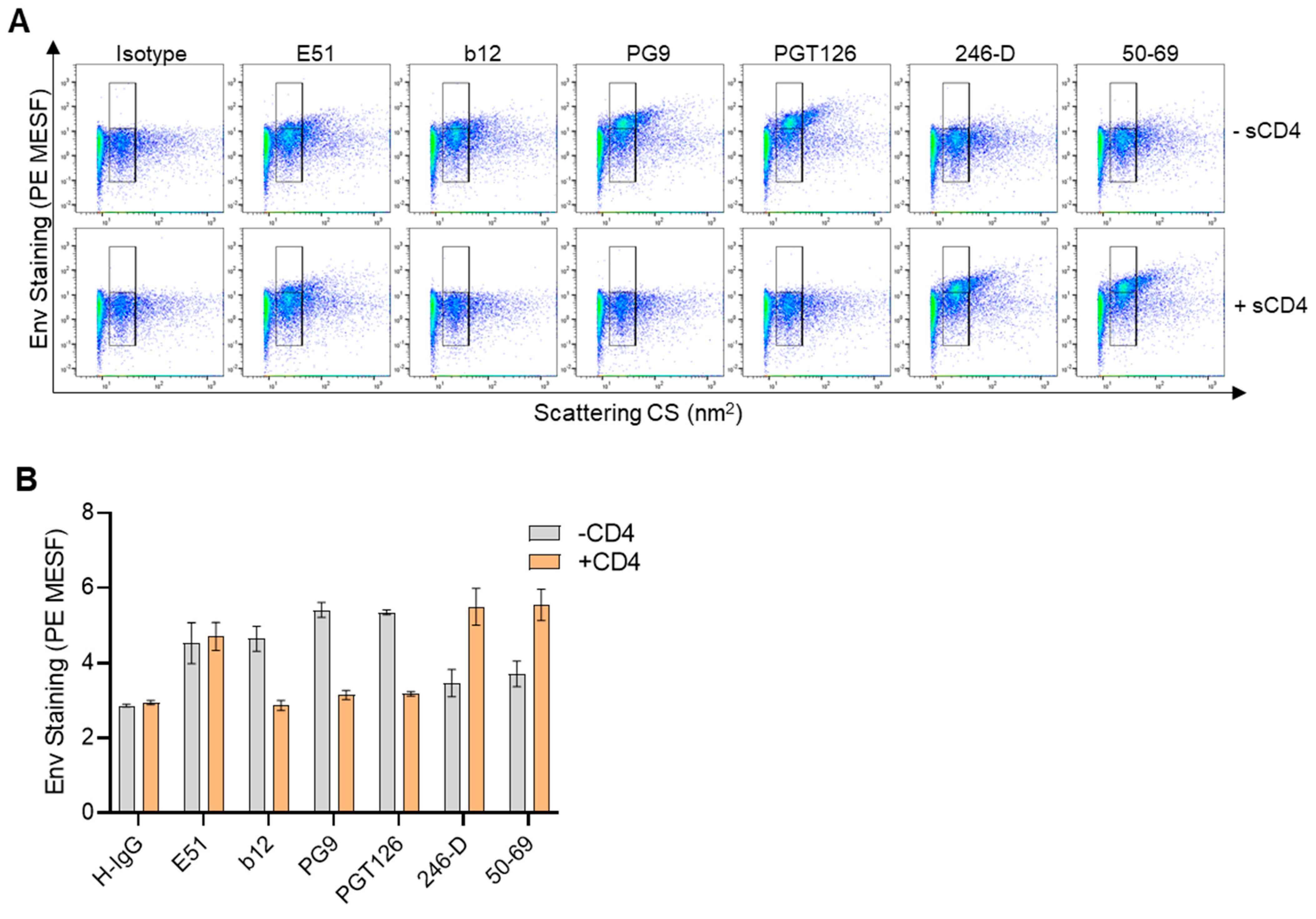 Viruses 16 00935 g005