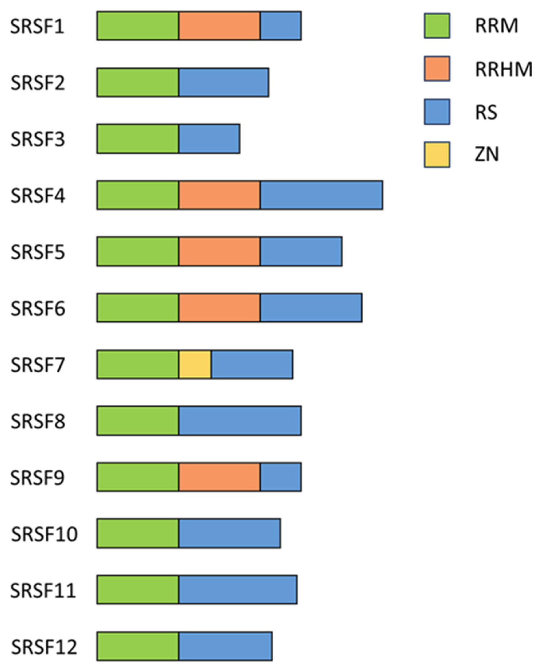 Viruses 16 00938 g003