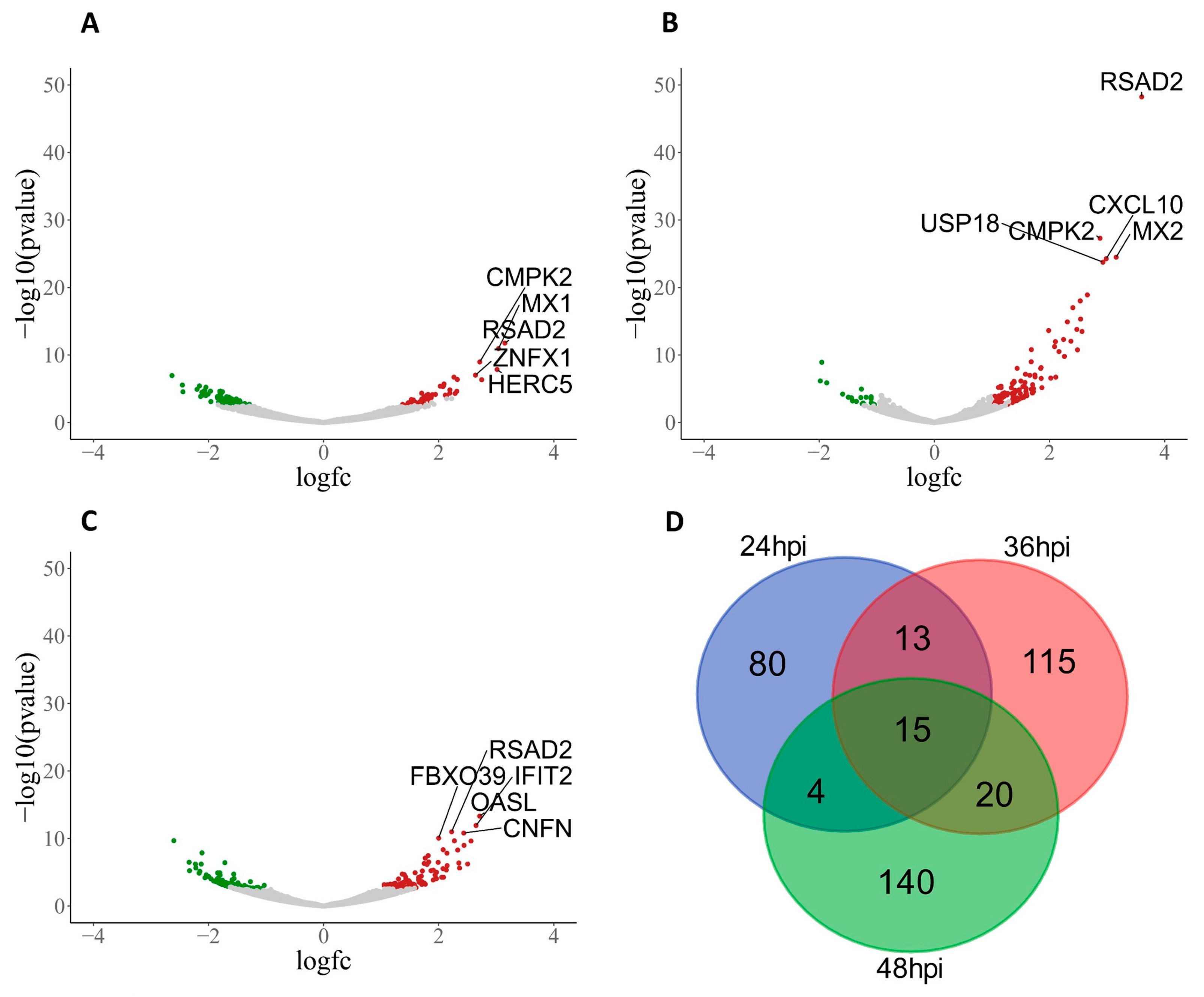 Viruses 16 00939 g002