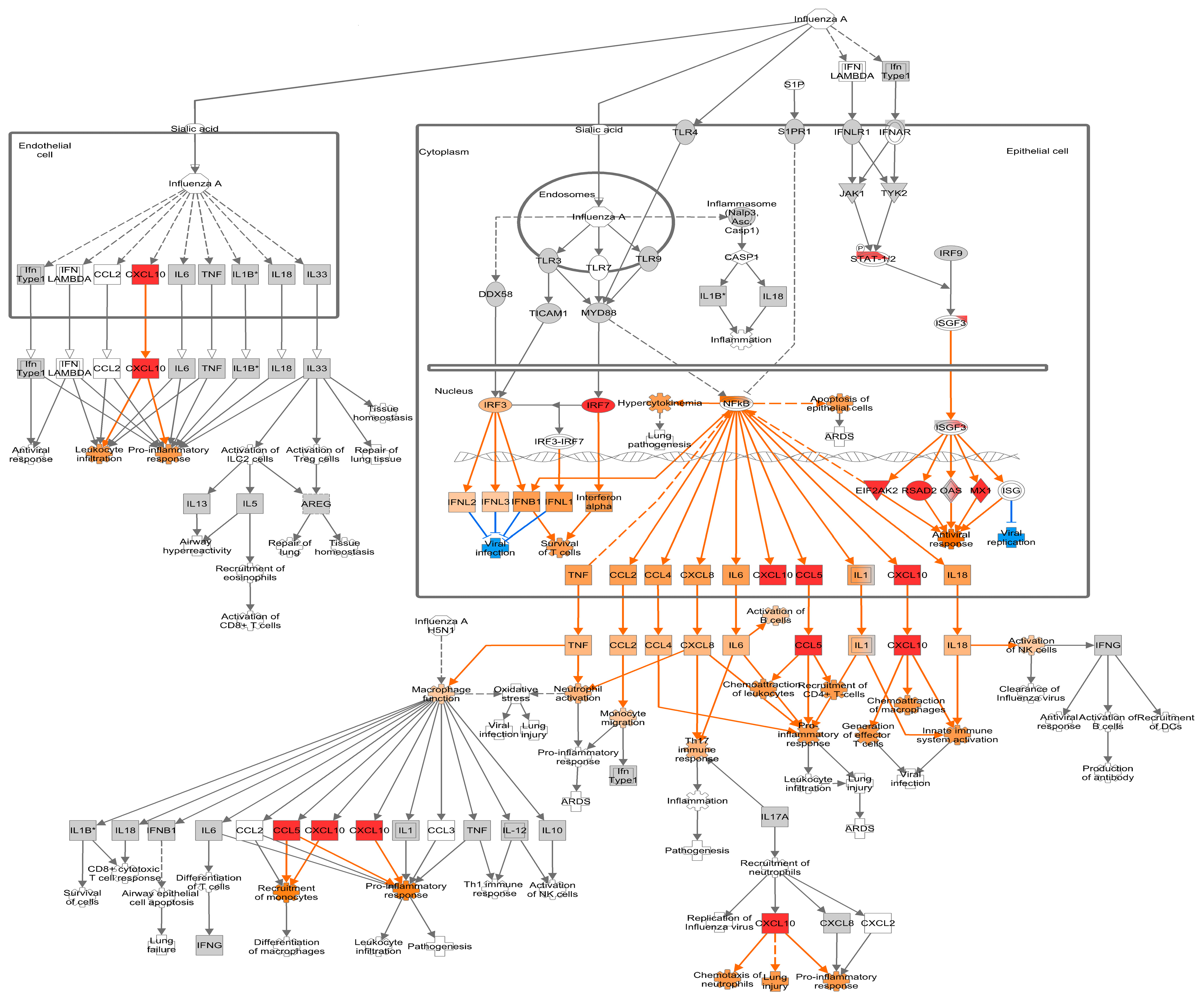 Viruses 16 00939 g005