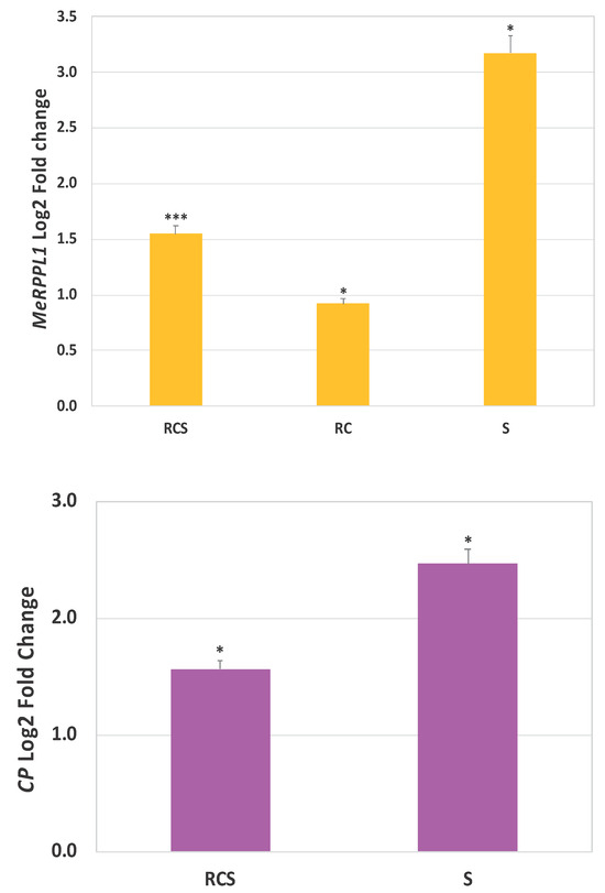 Viruses 16 00941 g003