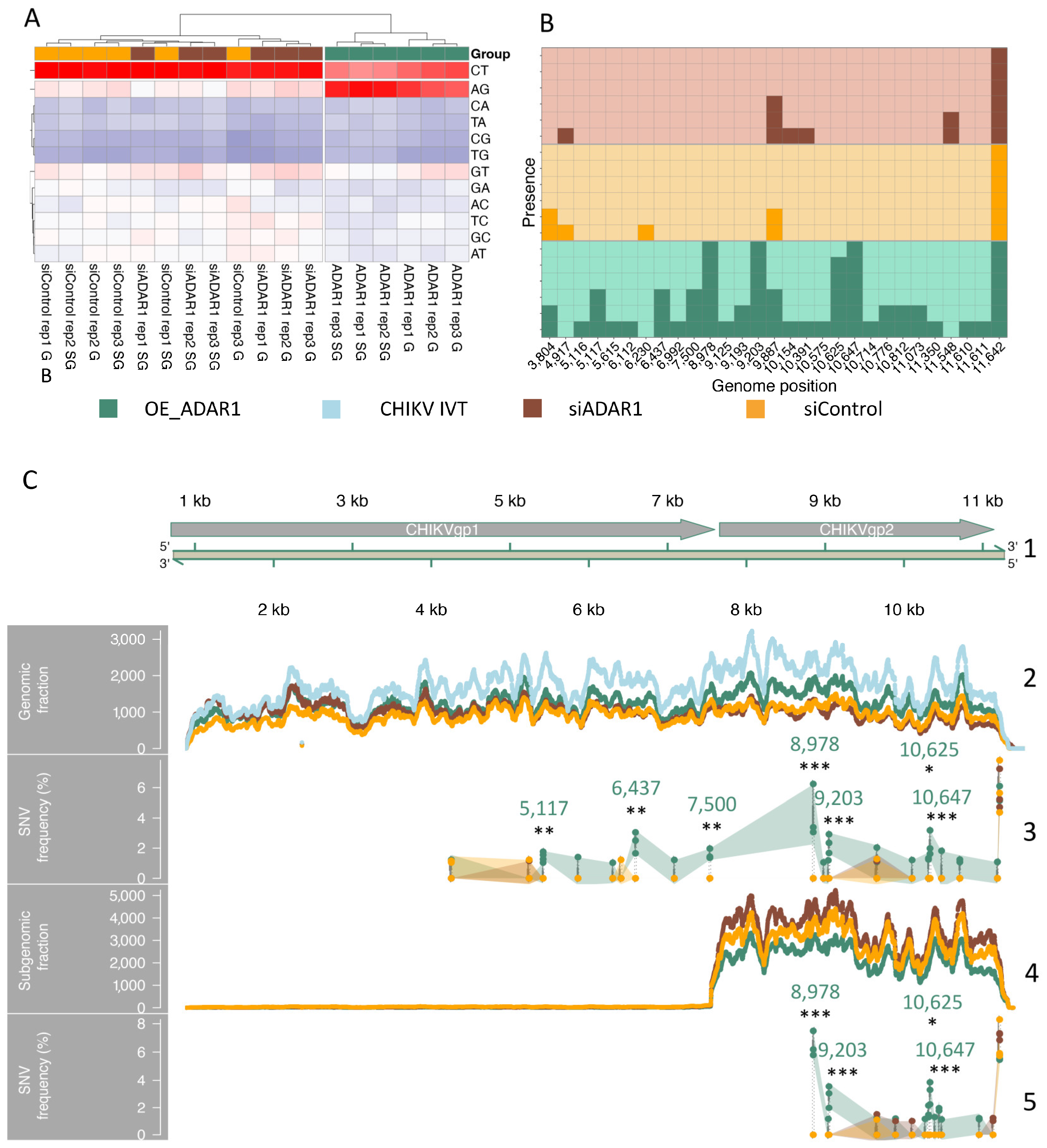 Viruses 16 00945 g005