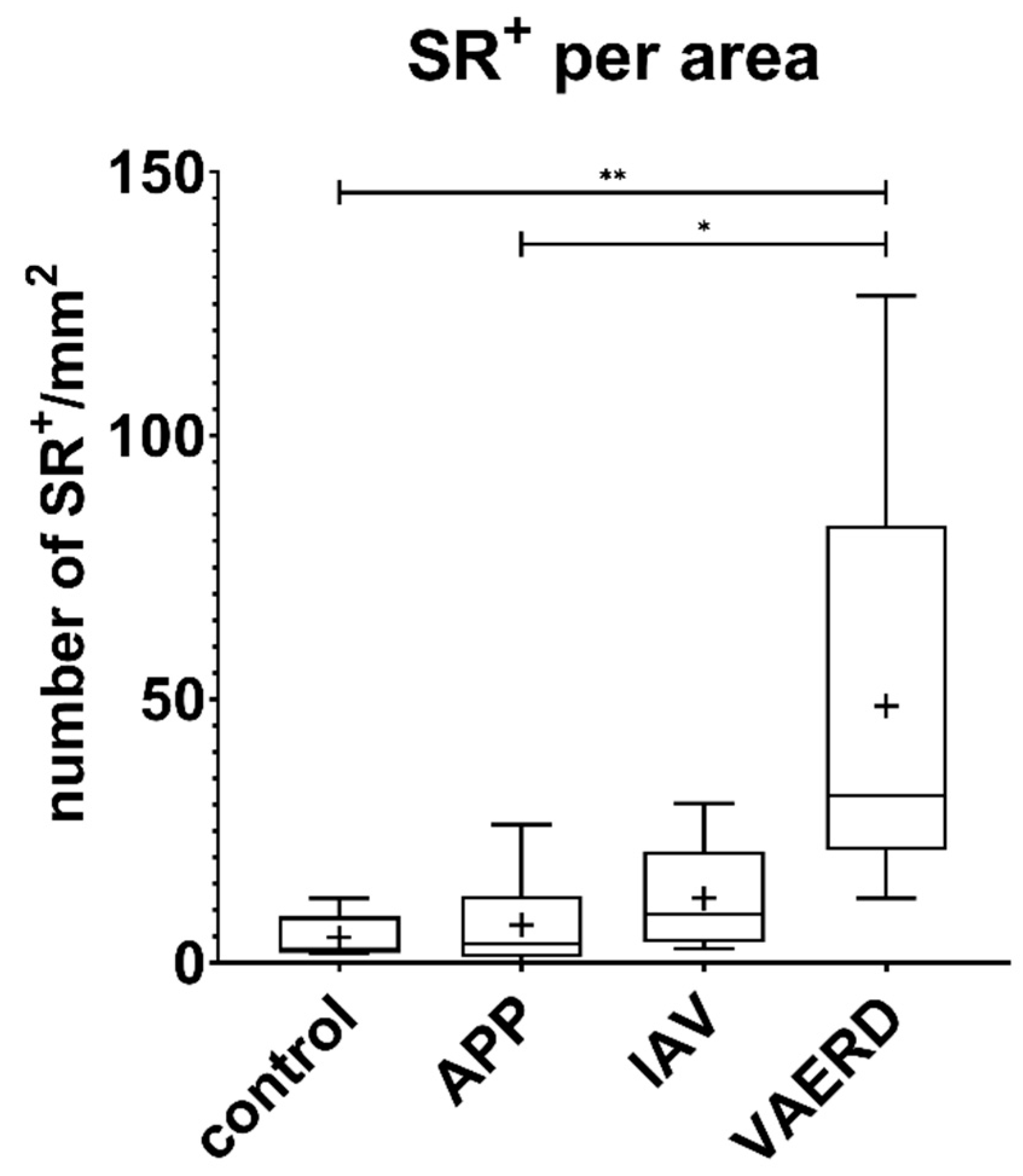 Viruses 16 00955 g004