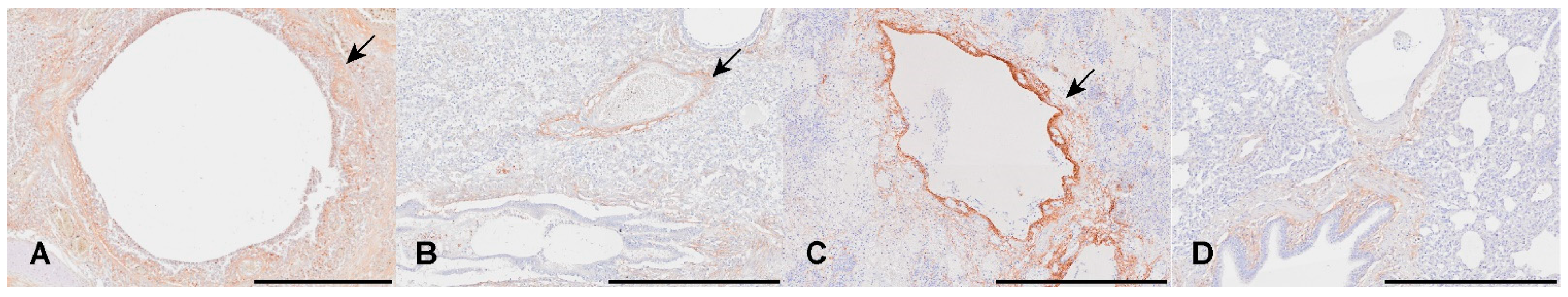 Viruses 16 00955 g0a1