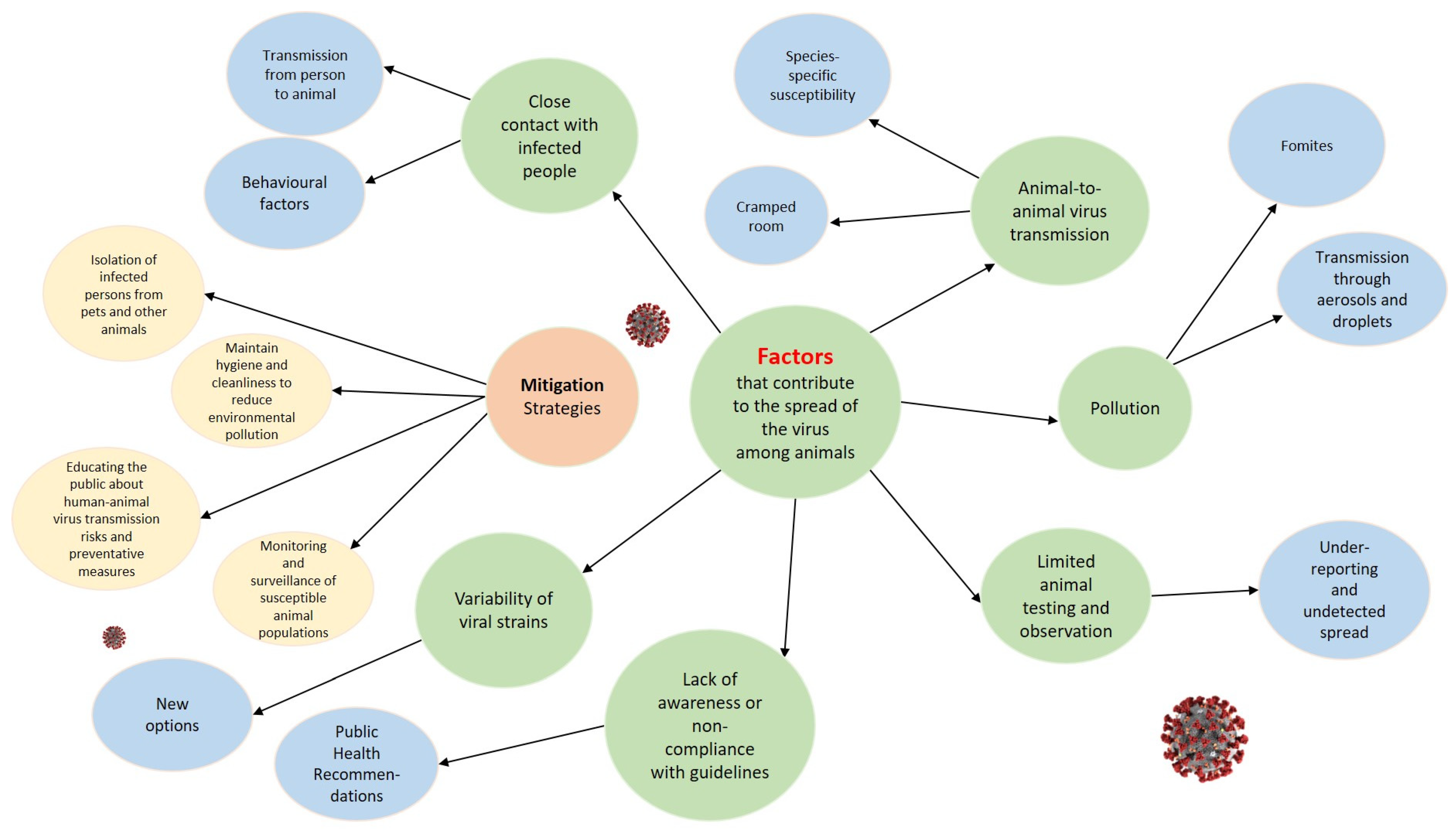 Viruses 16 00956 g002