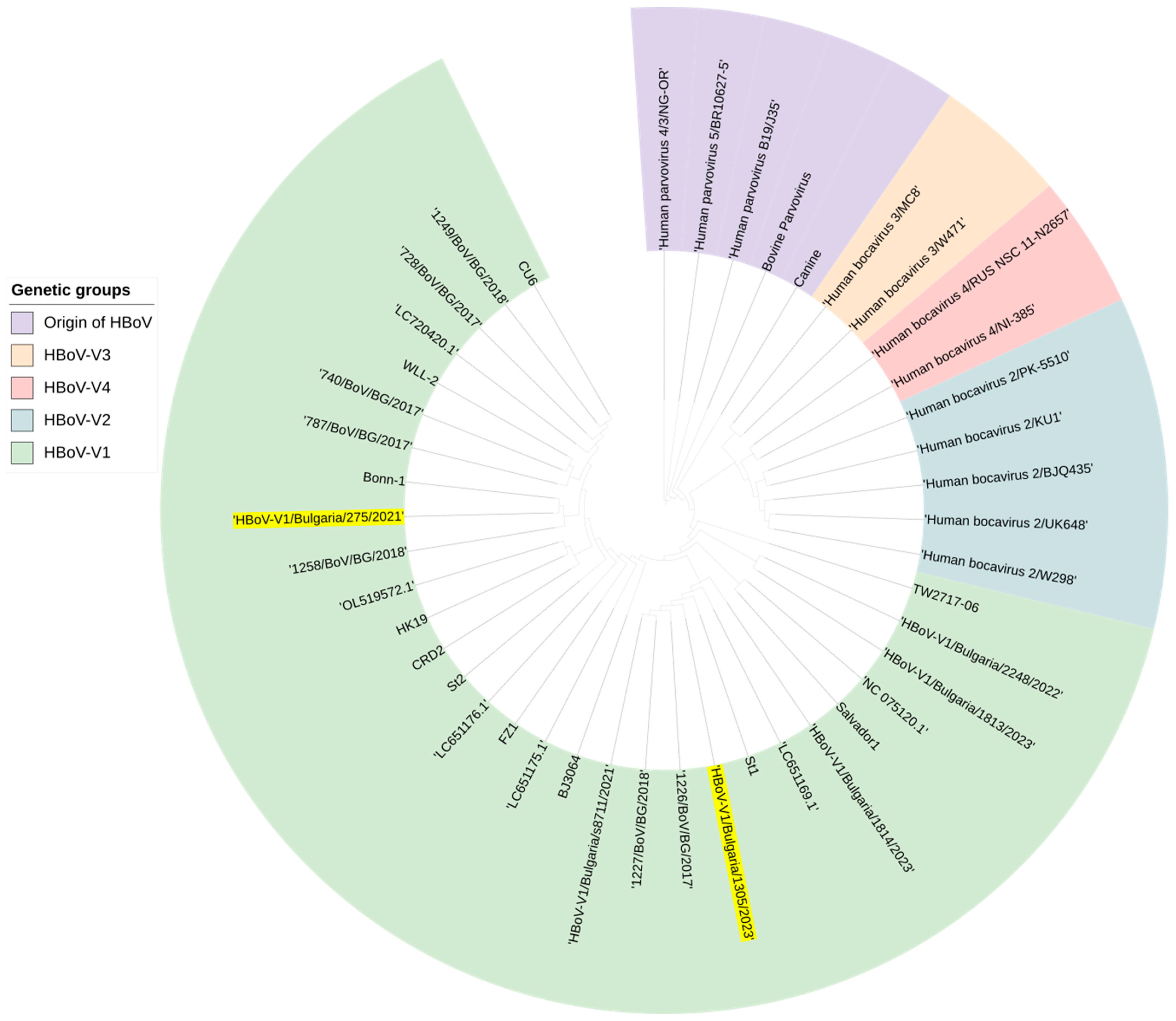 Viruses 16 00958 g007