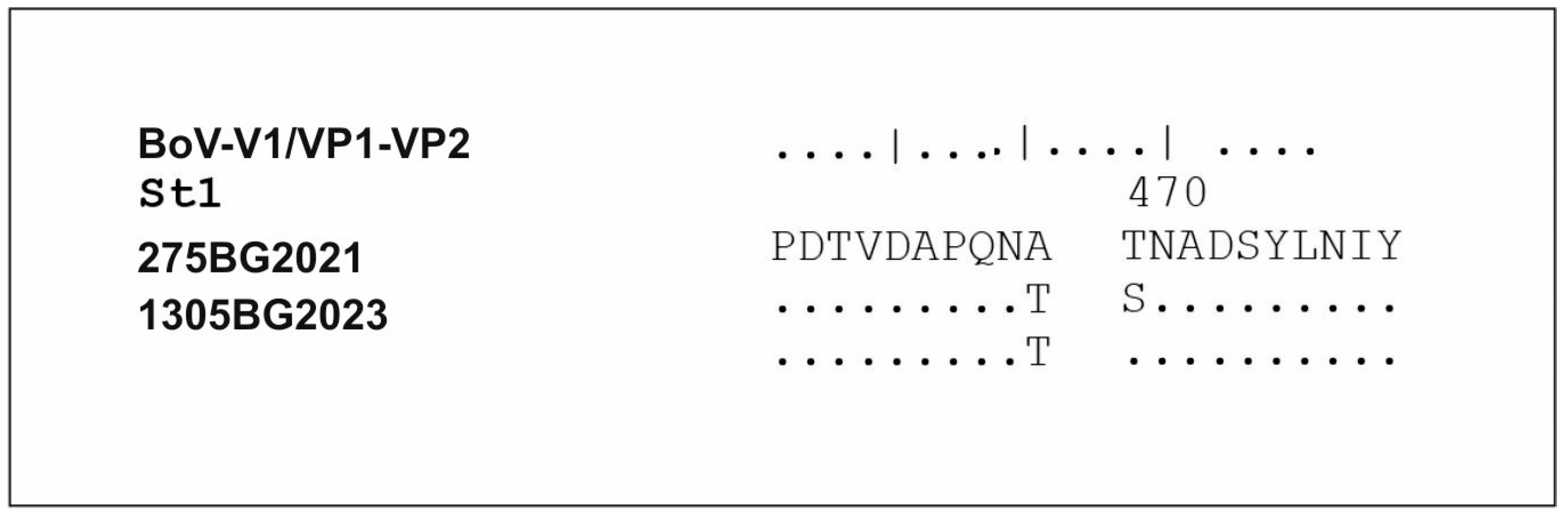 Viruses 16 00958 g008