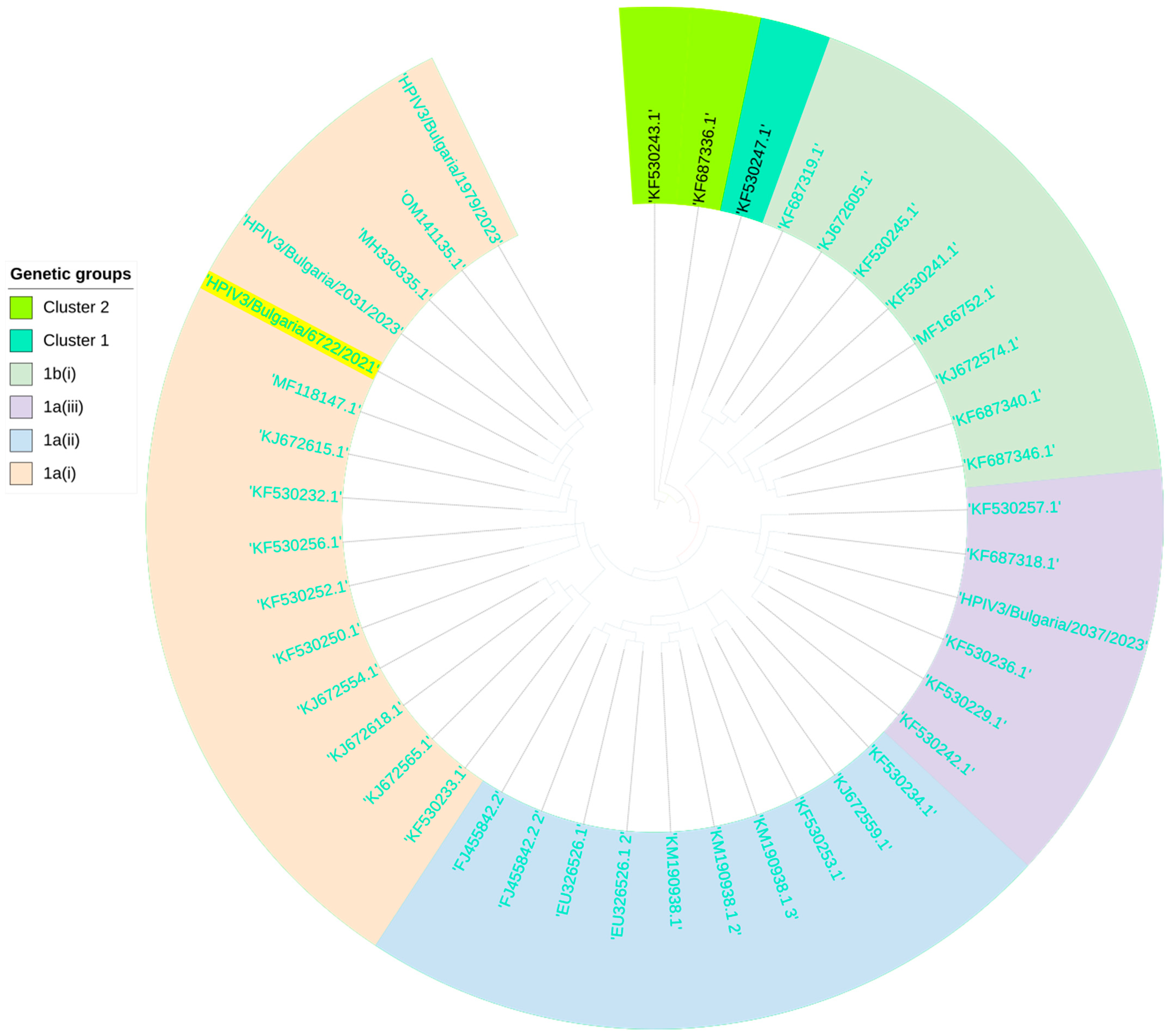 Viruses 16 00958 g009