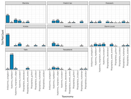 Viruses 16 00964 g0a2