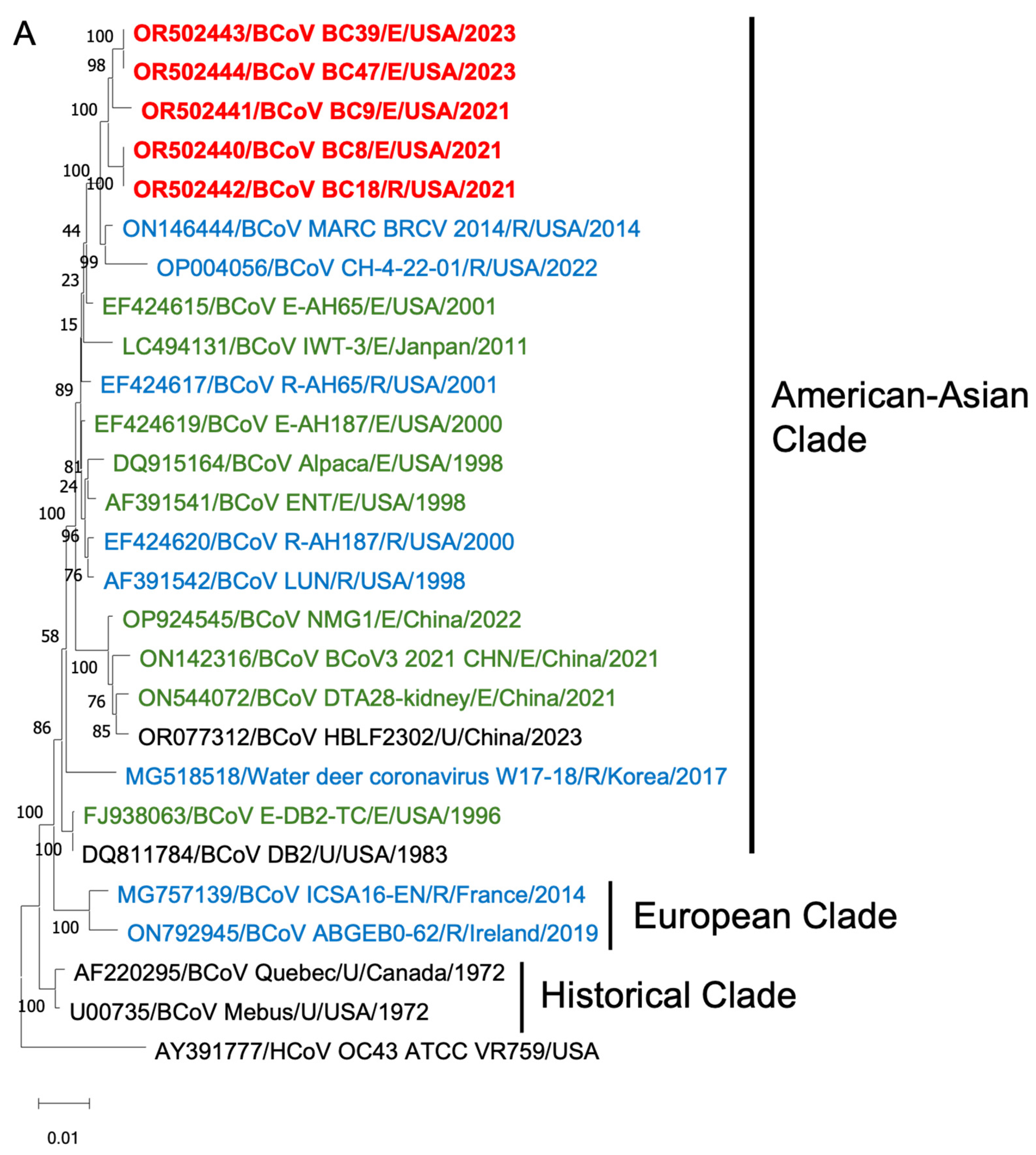Viruses 16 00965 g006a