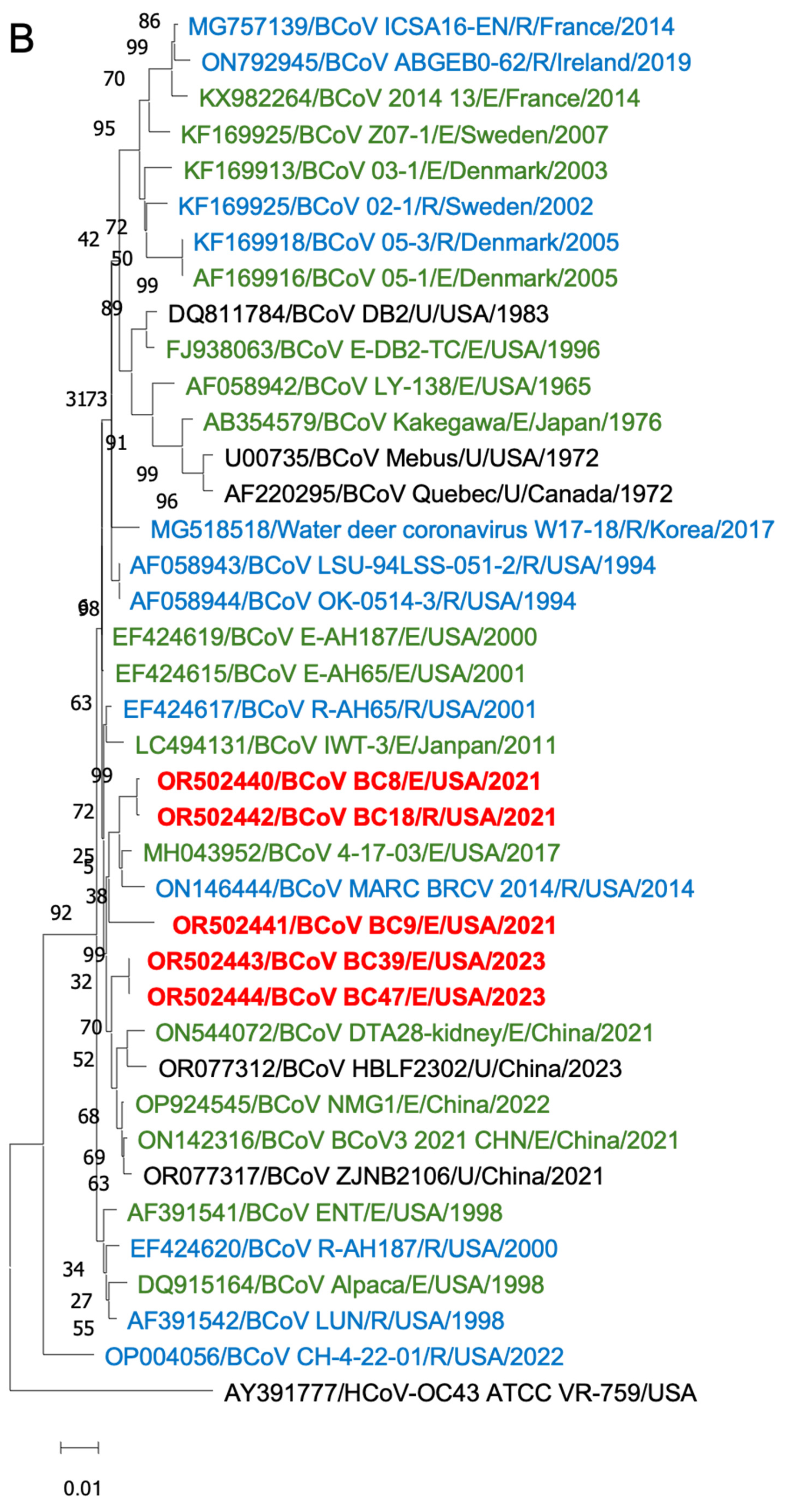 Viruses 16 00965 g006b