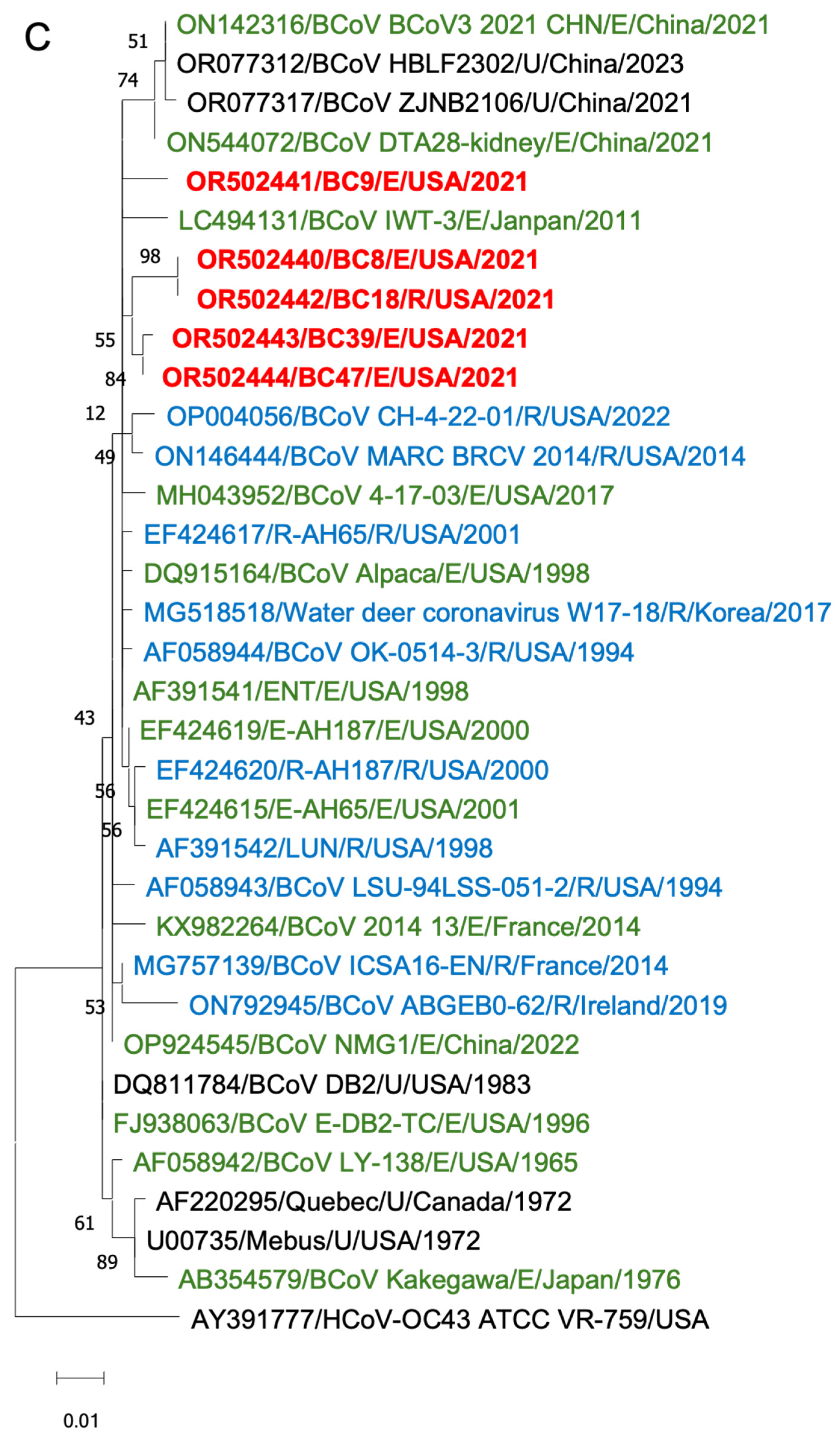 Viruses 16 00965 g006c