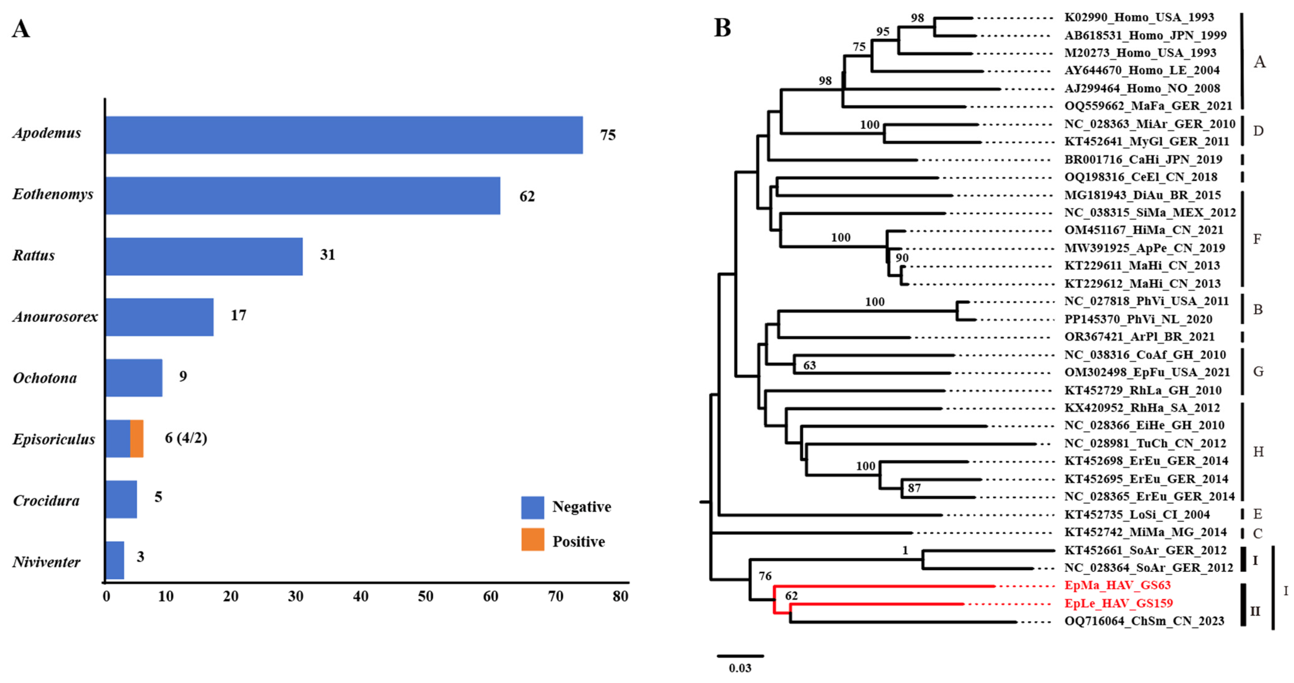 Viruses 16 00969 g001 Viruses 16 00969 g001