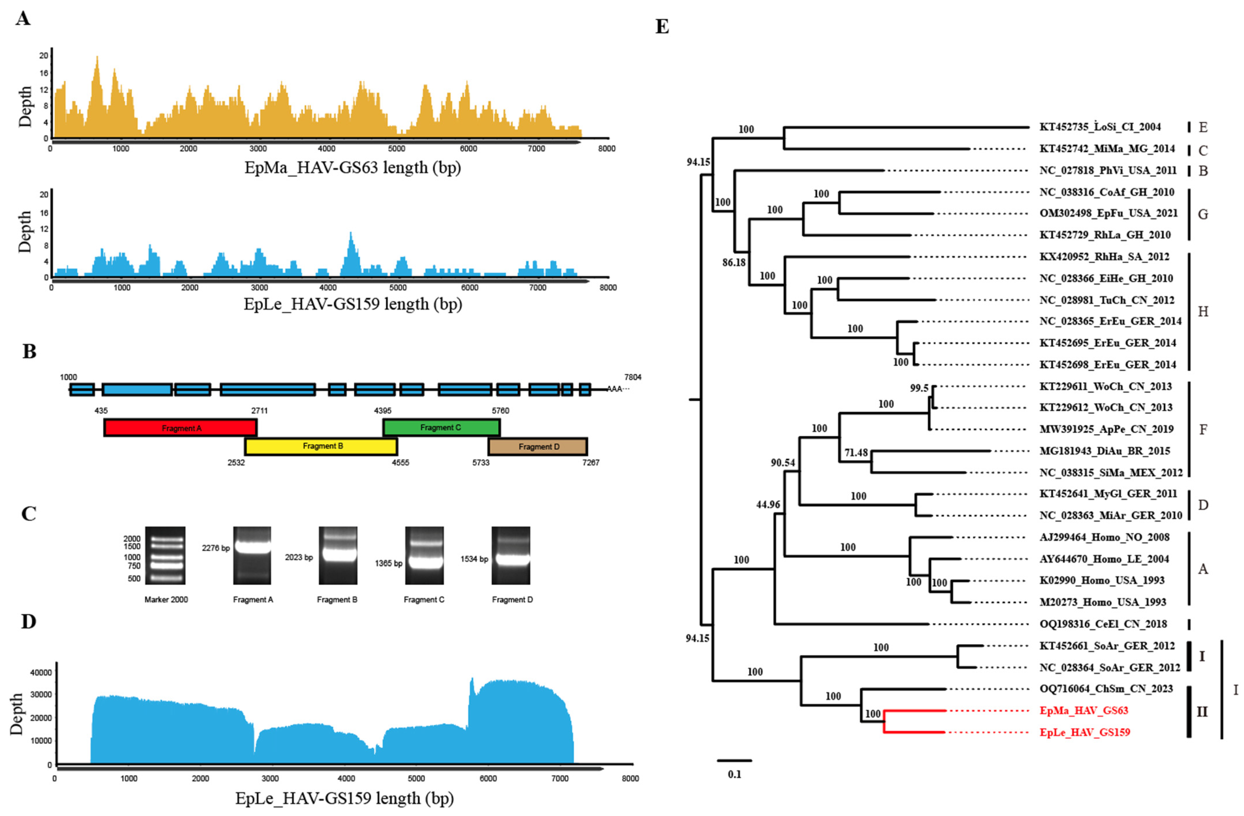 Viruses 16 00969 g002 Viruses 16 00969 g002