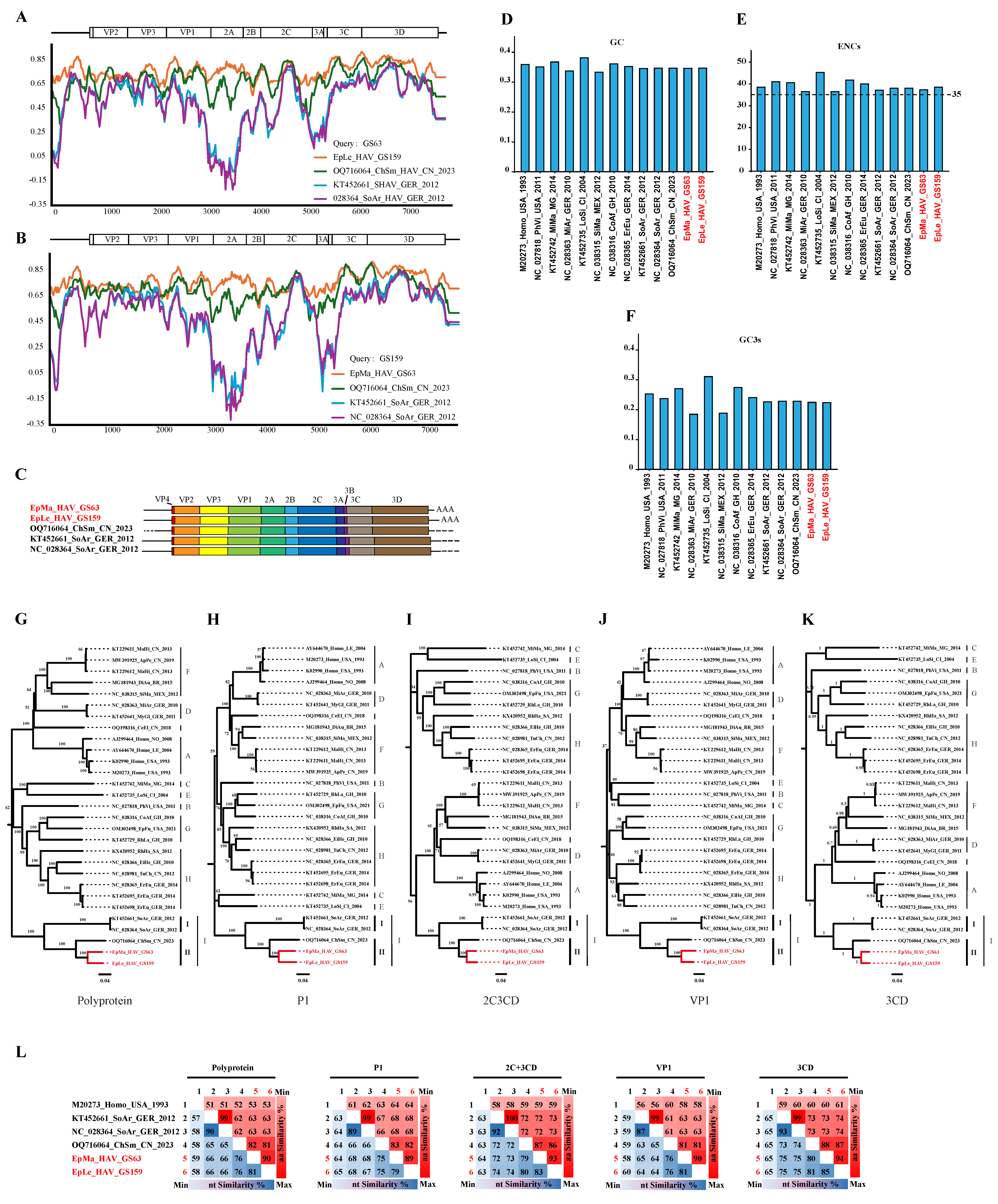 Viruses 16 00969 g003 Viruses 16 00969 g003