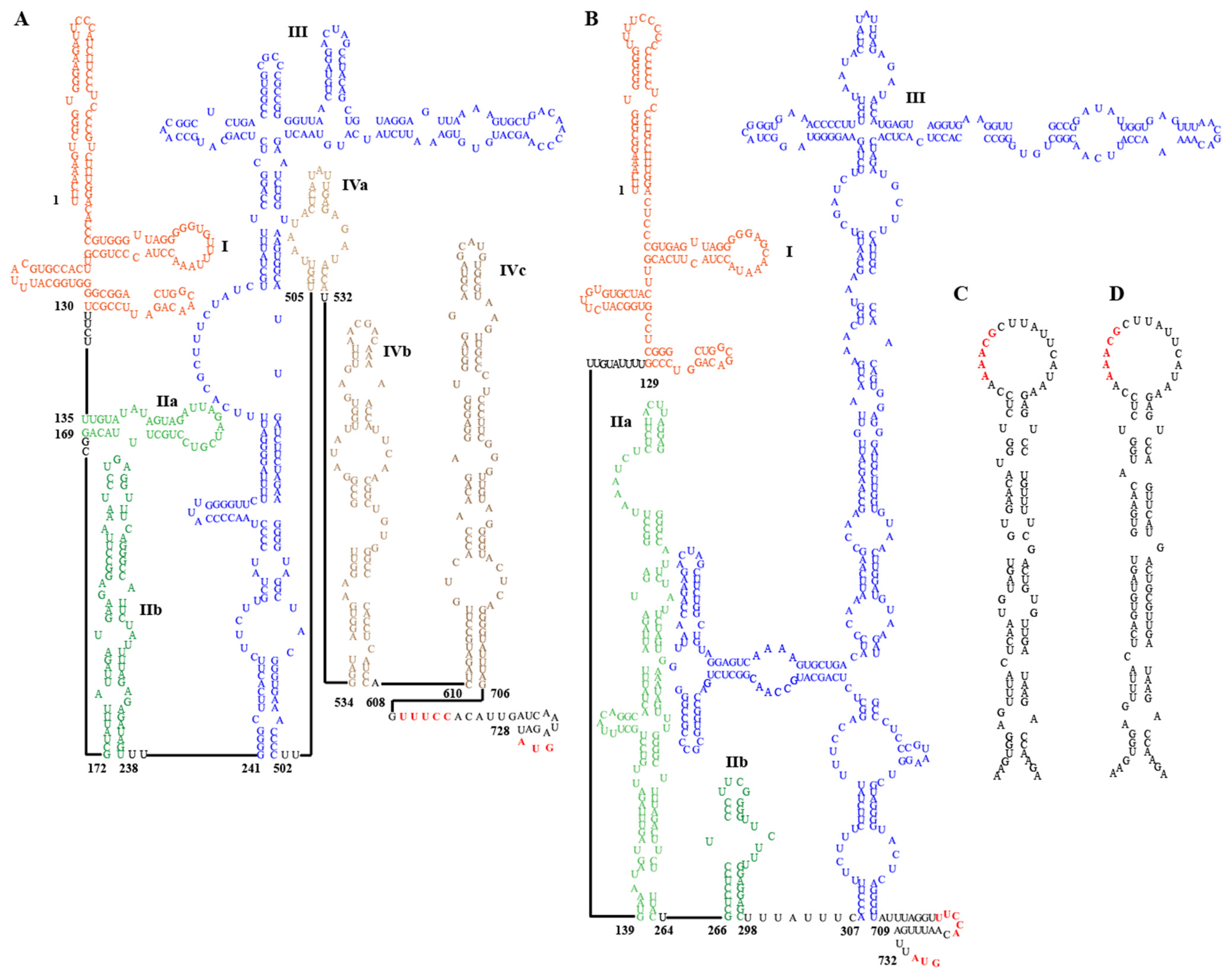 Viruses 16 00969 g004 Viruses 16 00969 g004