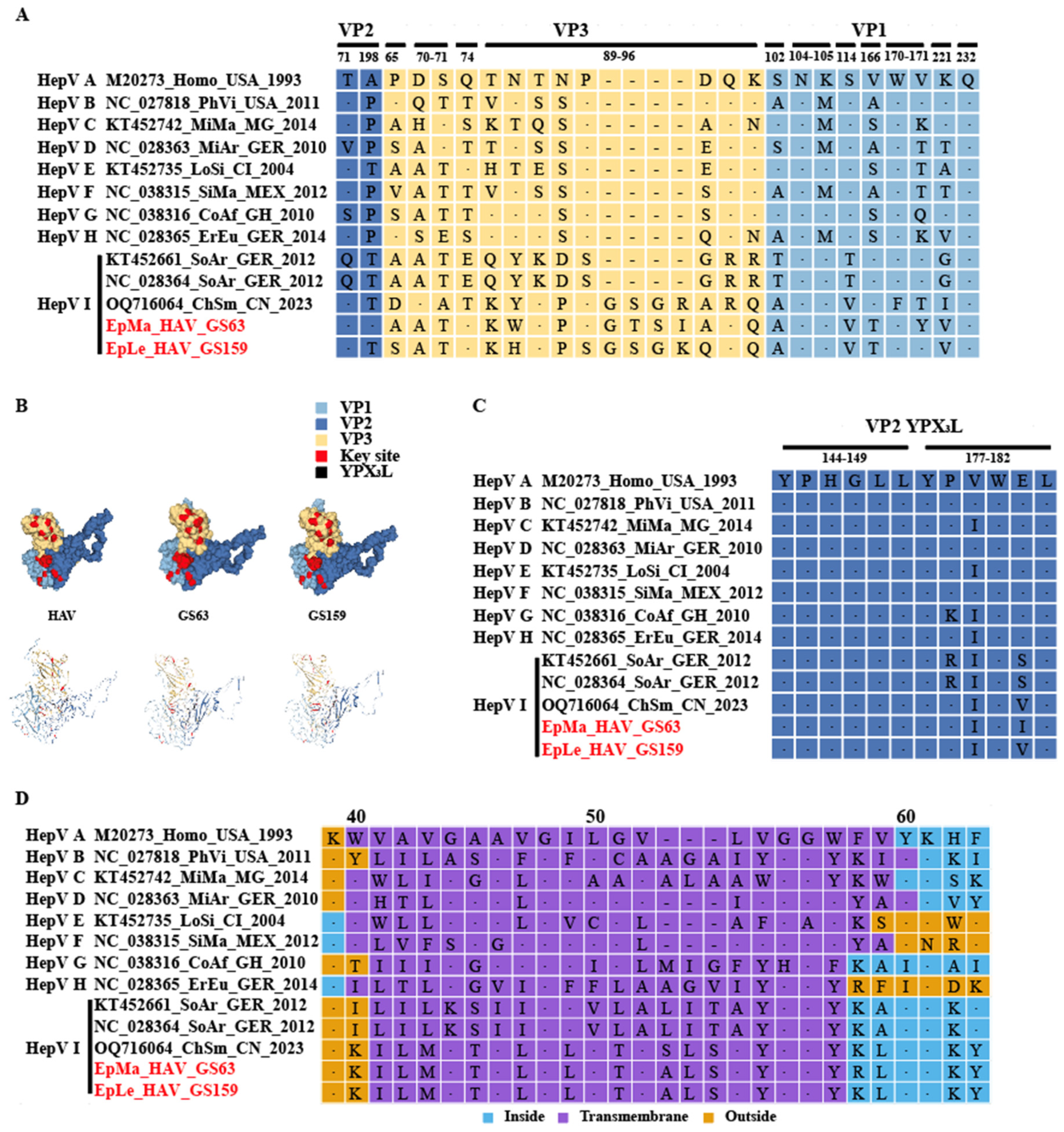 Viruses 16 00969 g005 Viruses 16 00969 g005