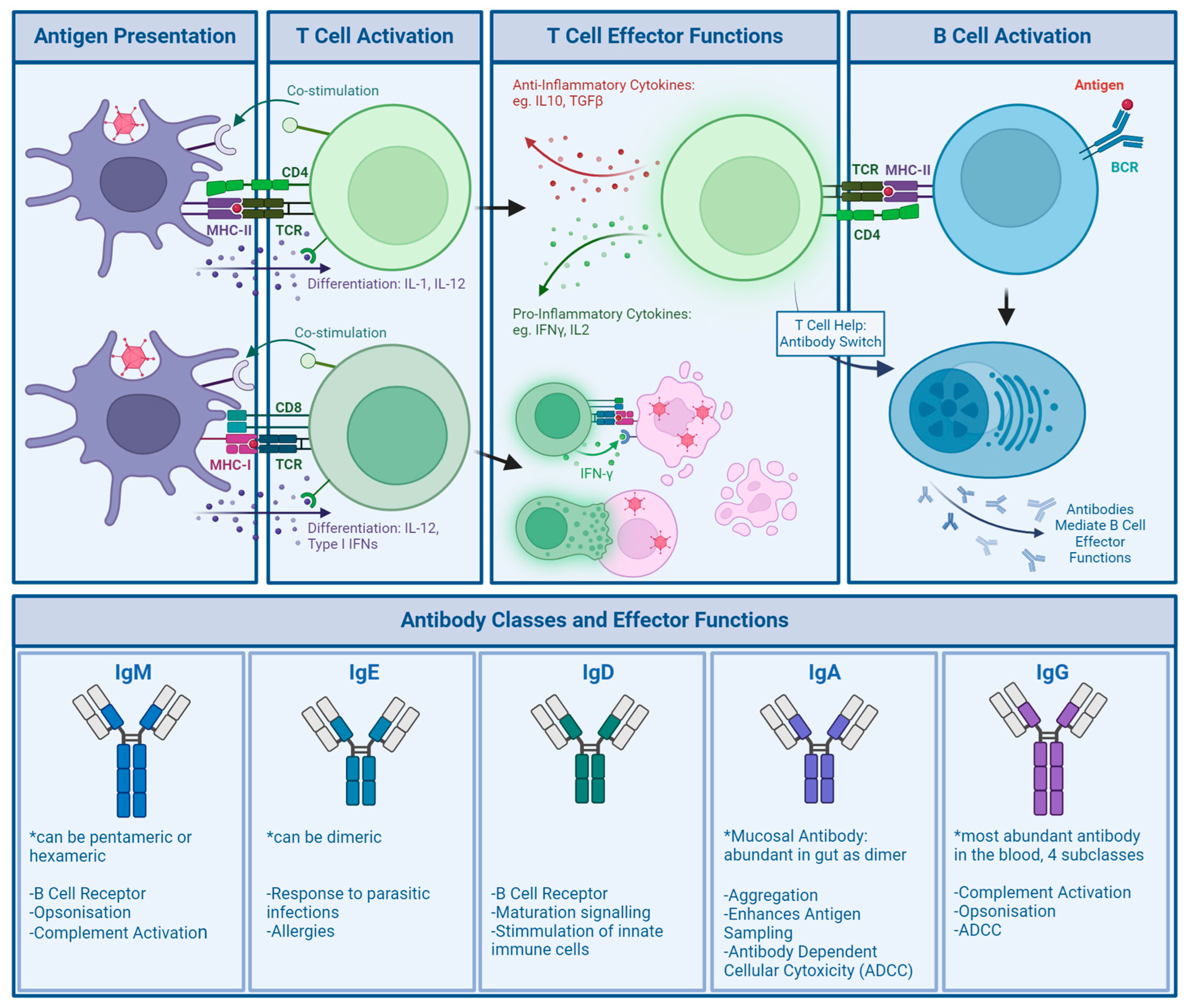 Viruses 16 00973 g004 Viruses 16 00973 g004