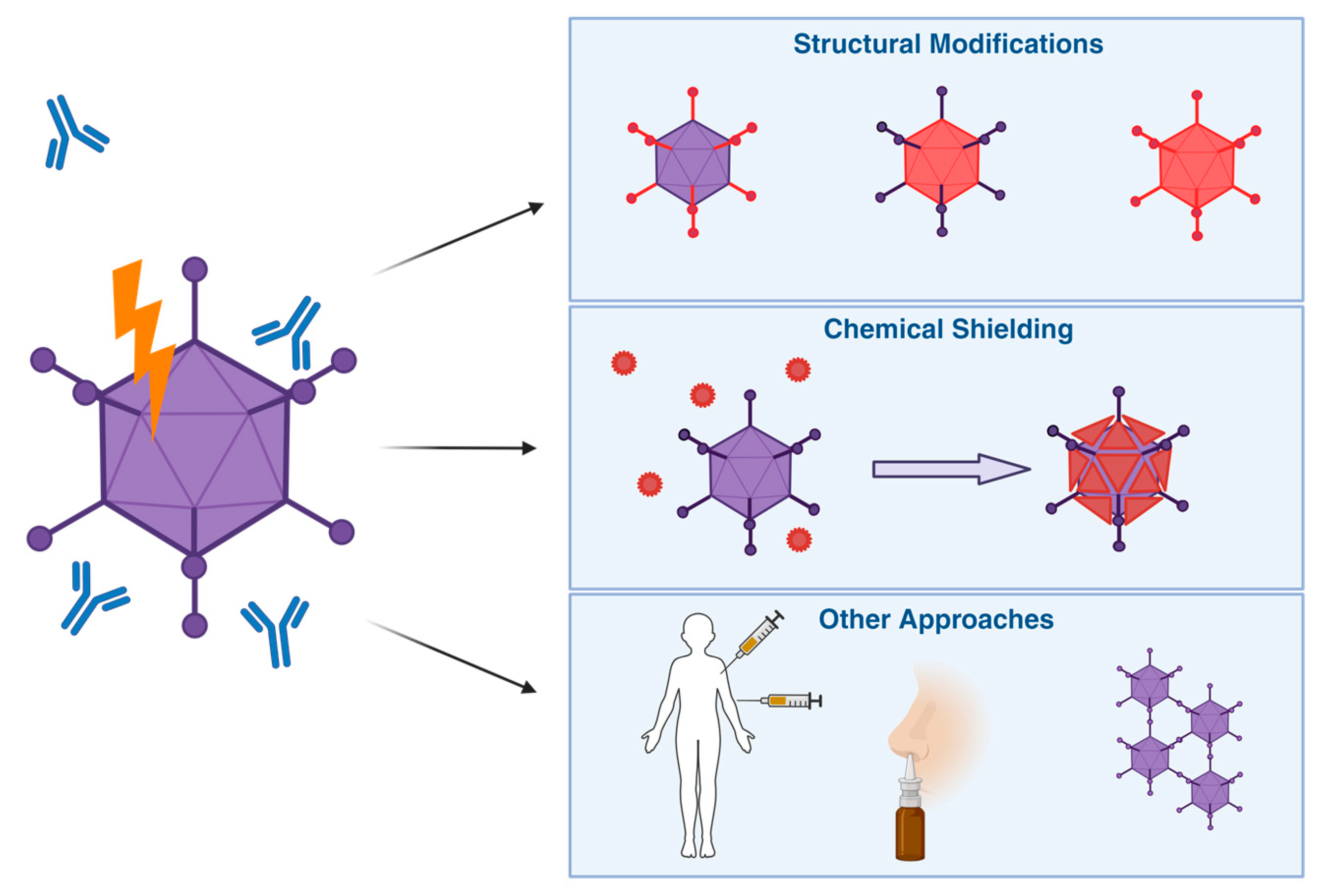 Viruses 16 00973 g006 Viruses 16 00973 g006