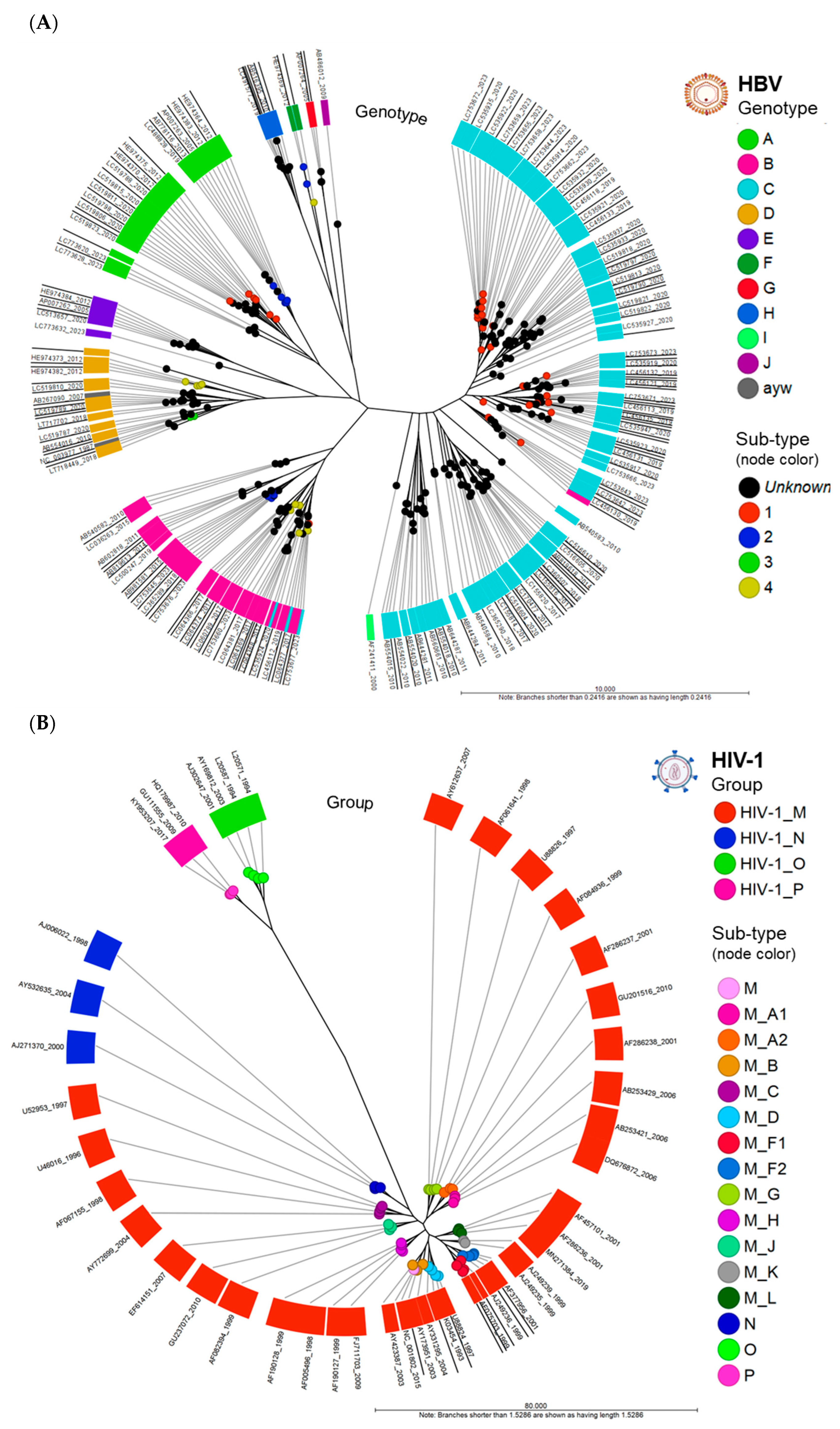 Viruses 16 00975 g003
