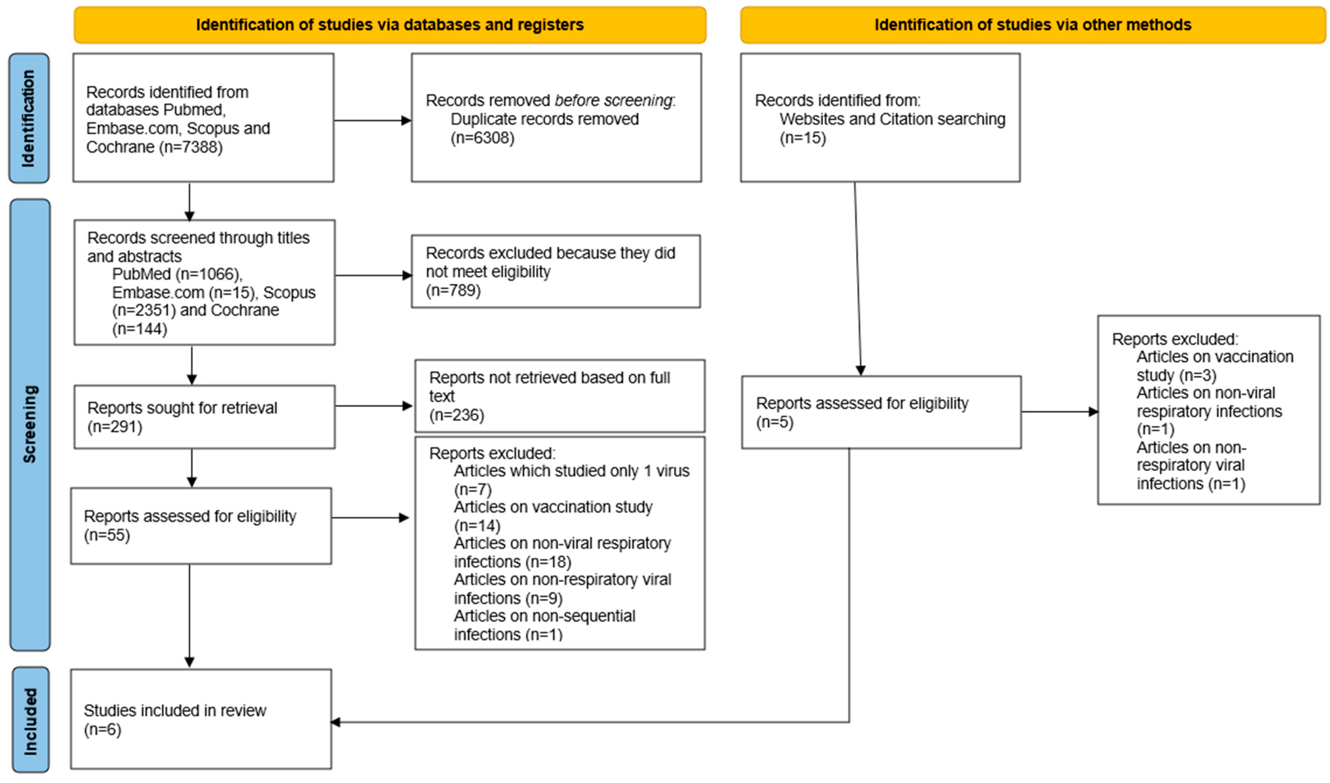 Viruses 16 00982 g001