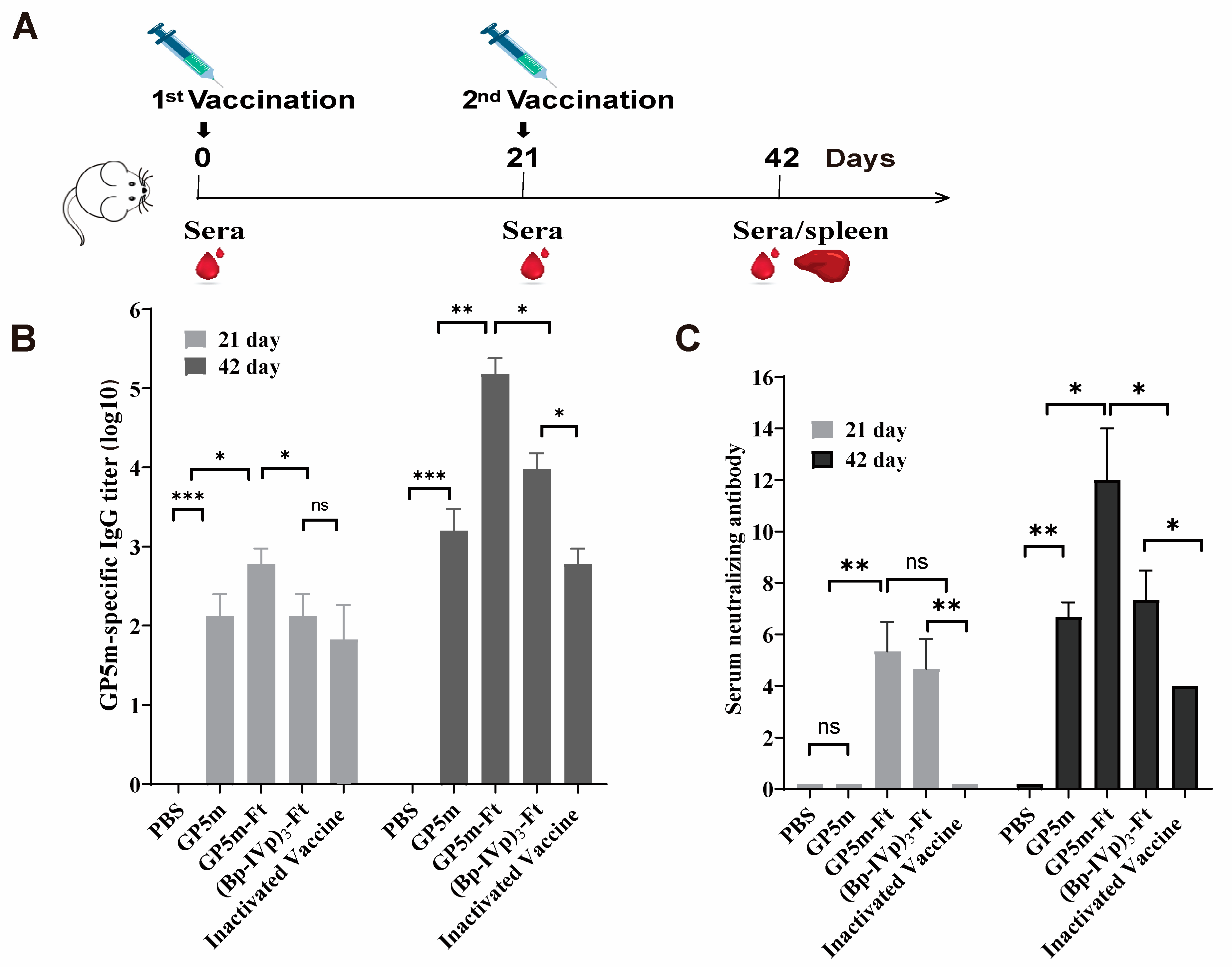 Viruses 16 00991 g002