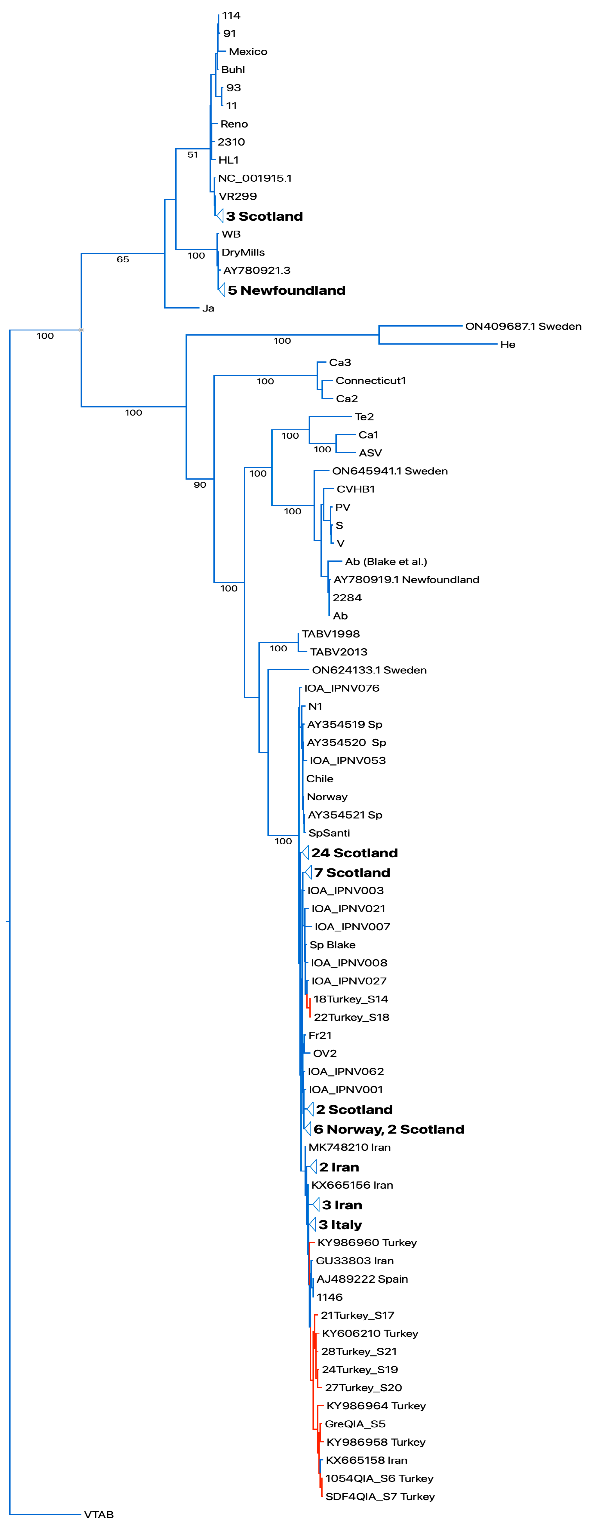 Viruses 16 00994 g003 Viruses 16 00994 g003