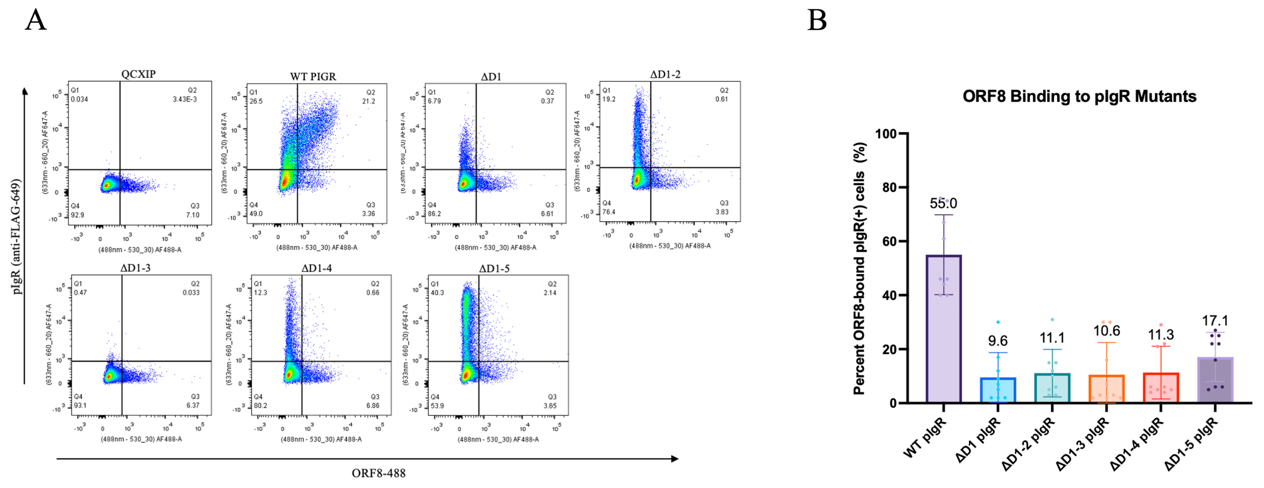 Viruses 16 01008 g005 Viruses 16 01008 g005