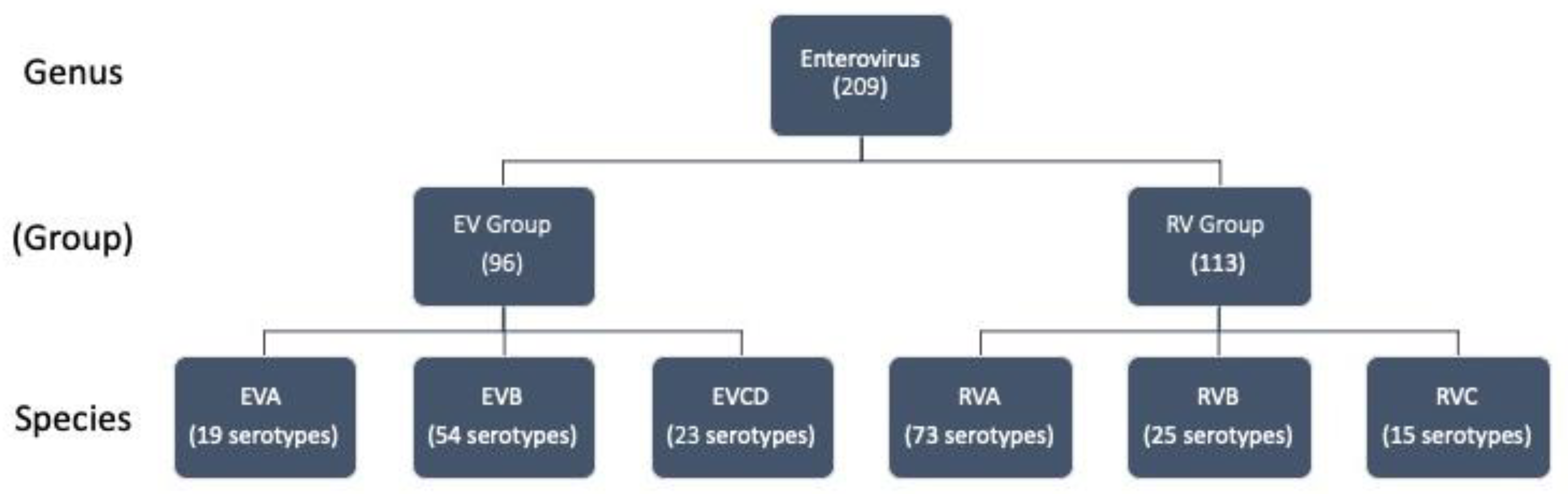 Viruses 16 01009 g003