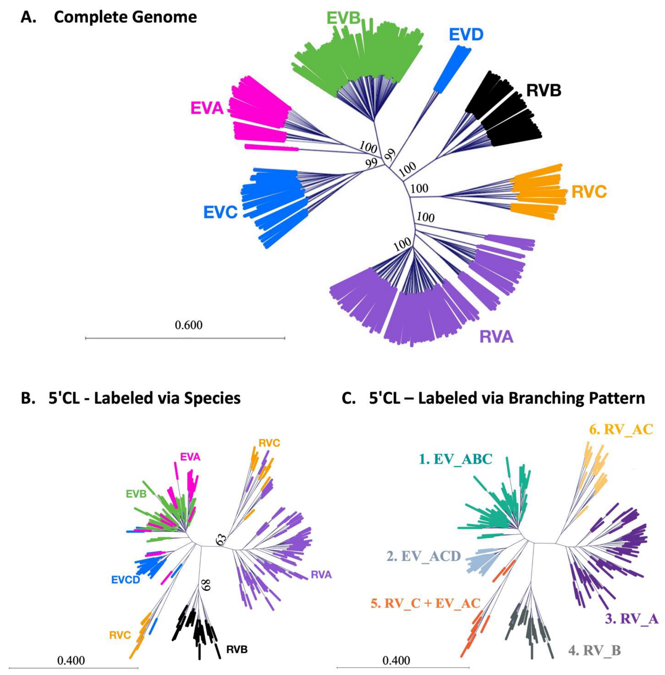Viruses 16 01009 g006