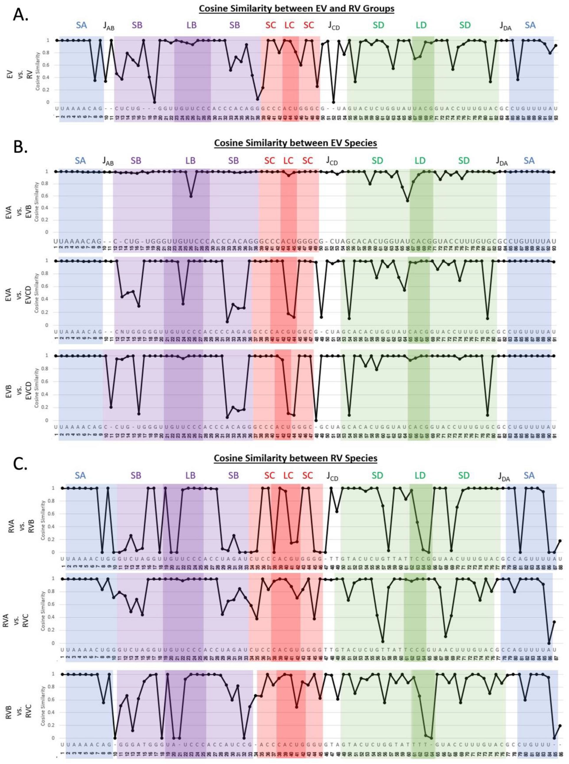 Viruses 16 01009 g007