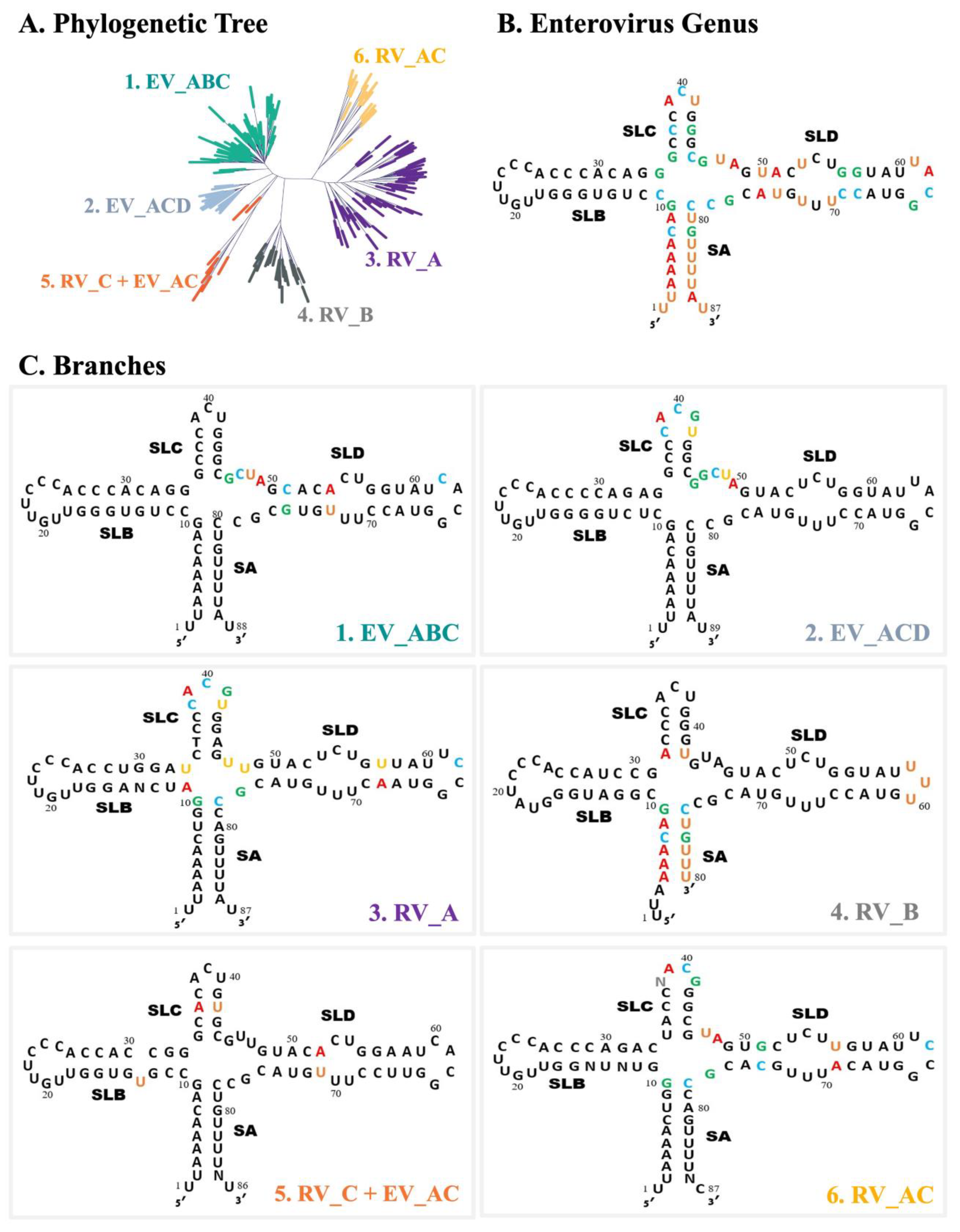 Viruses 16 01009 g009