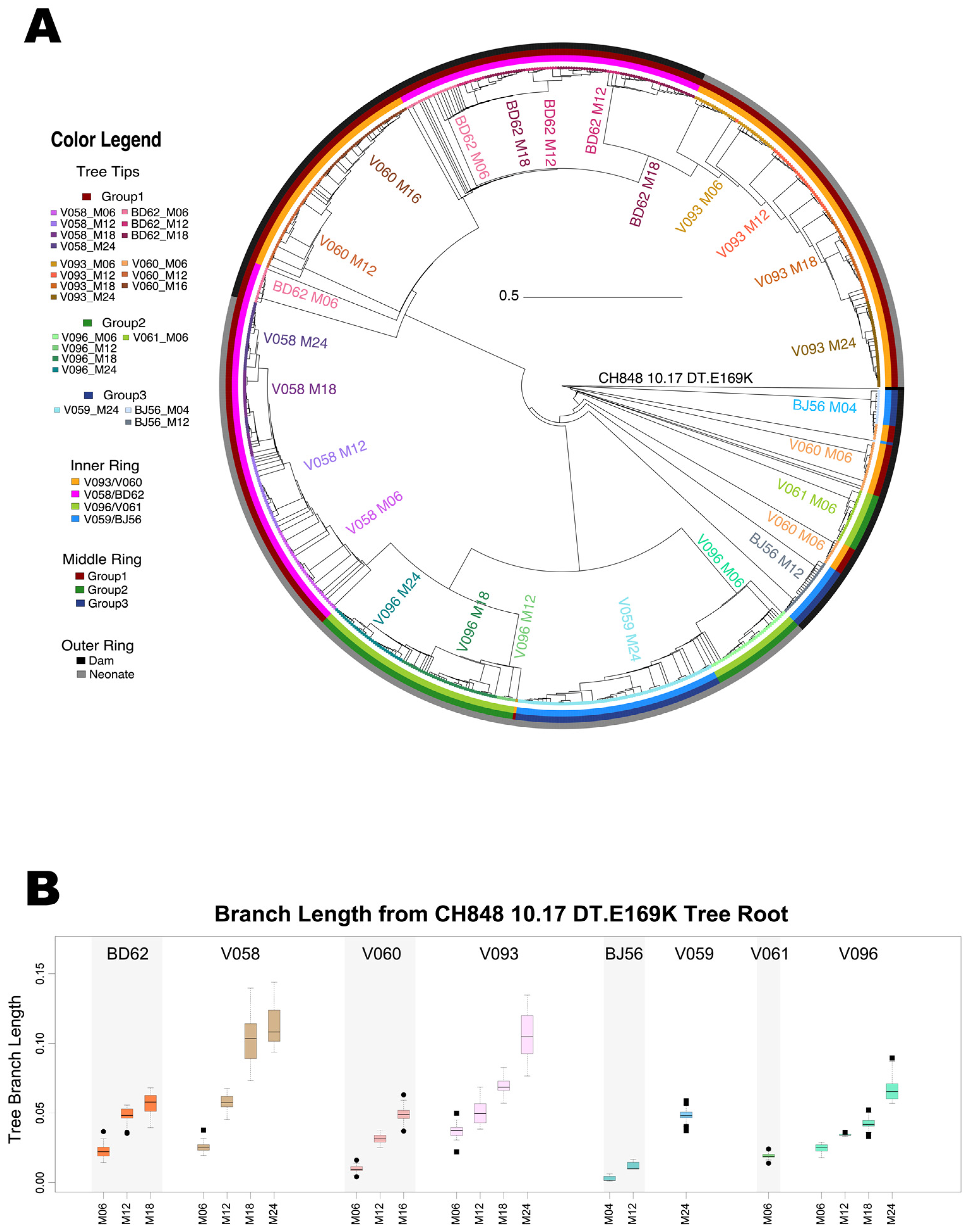 Viruses 16 01014 g002