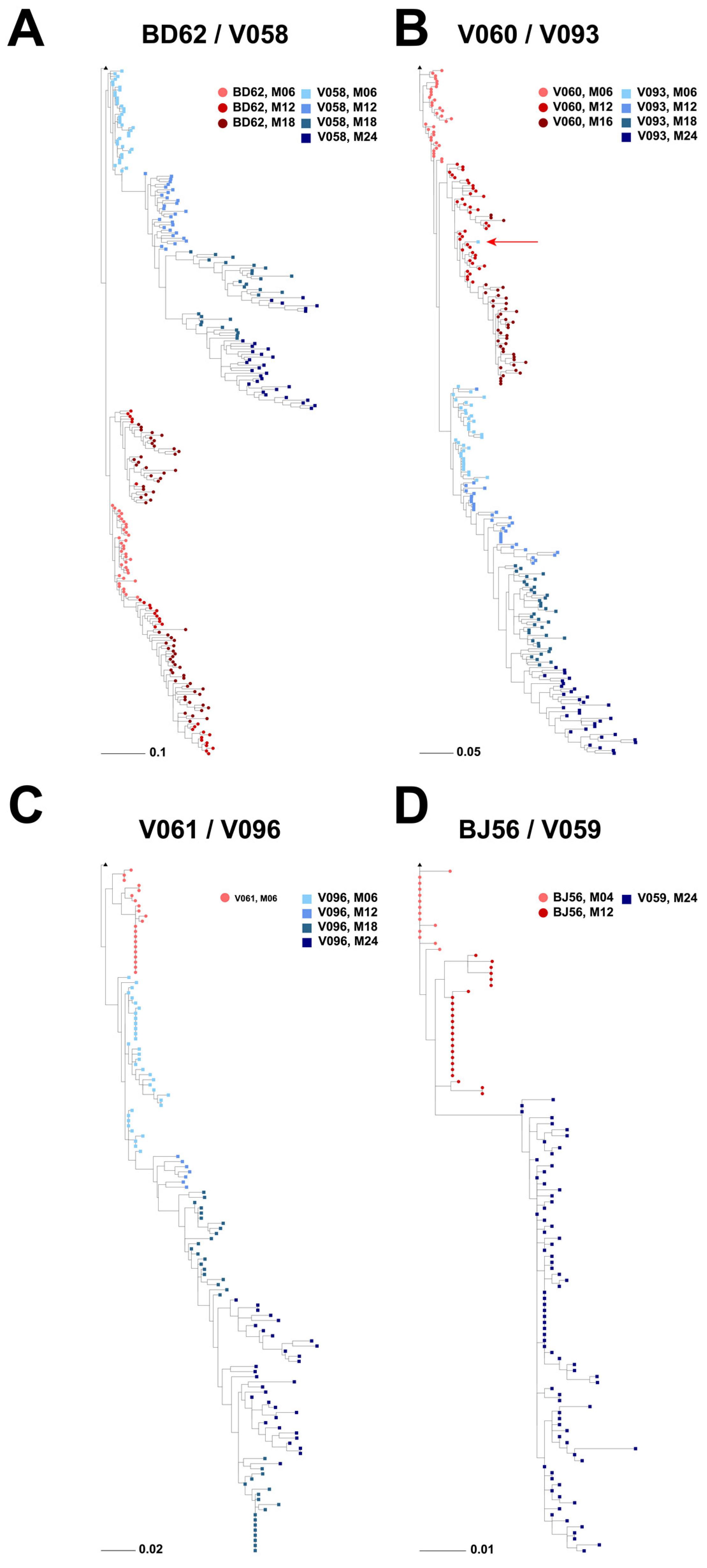 Viruses 16 01014 g003