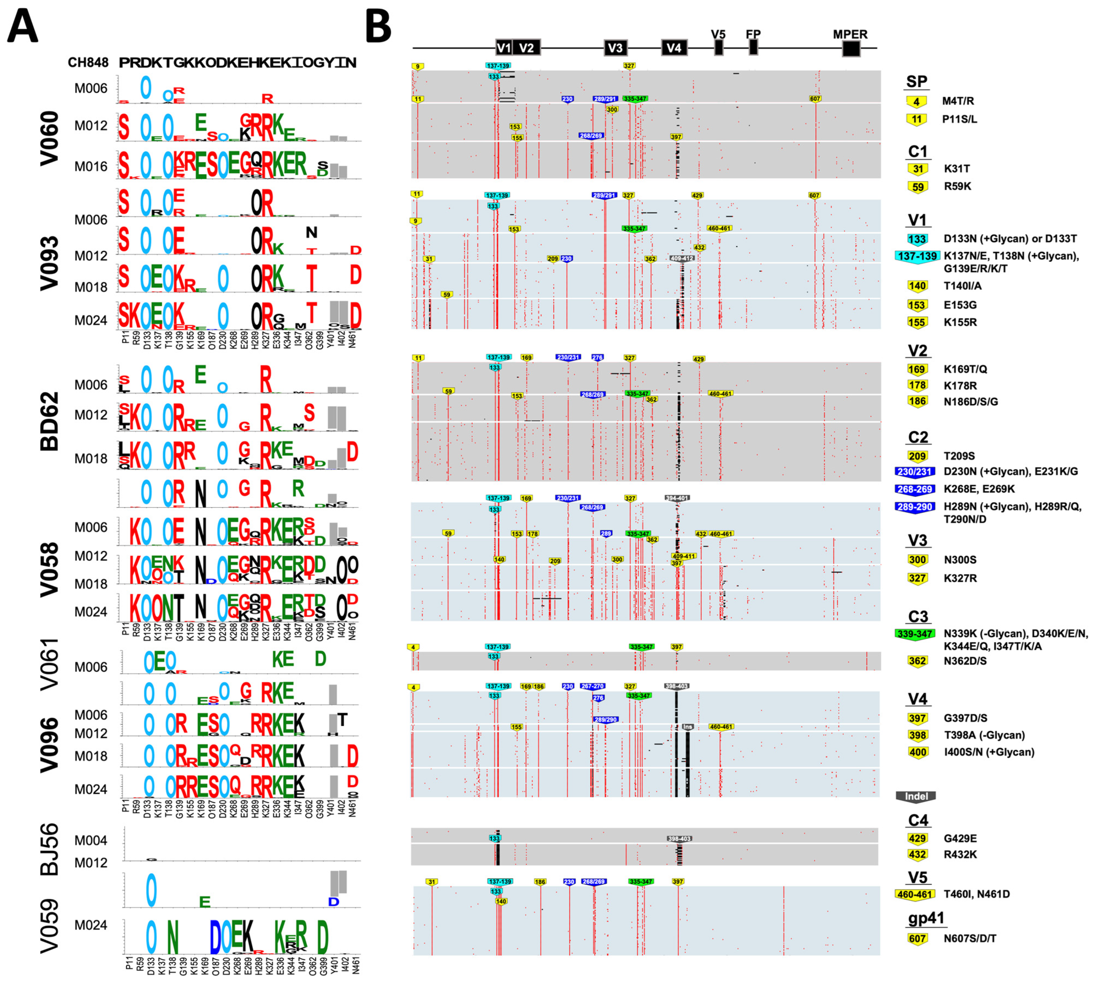Viruses 16 01014 g006