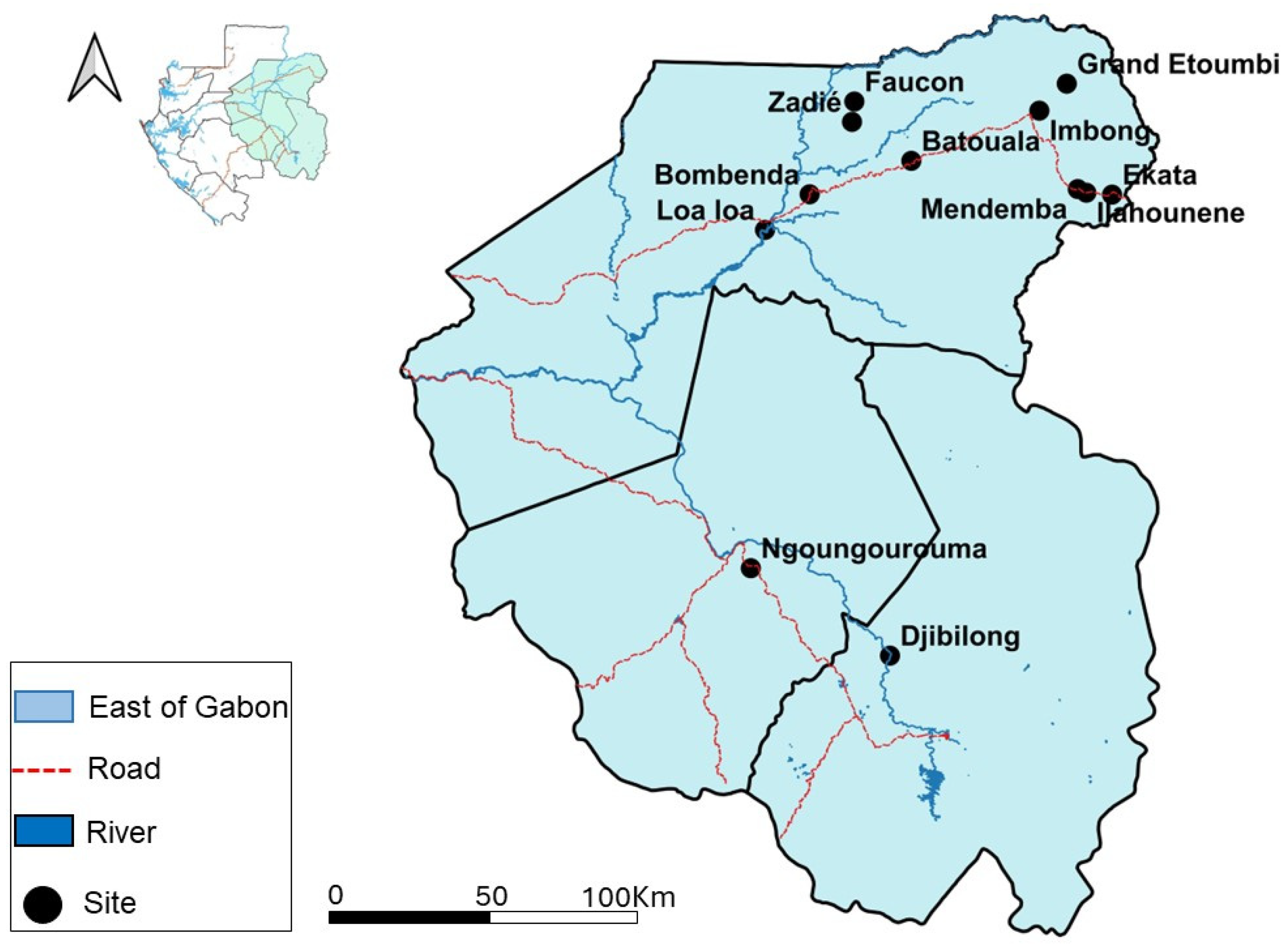 Viruses 16 01015 g001