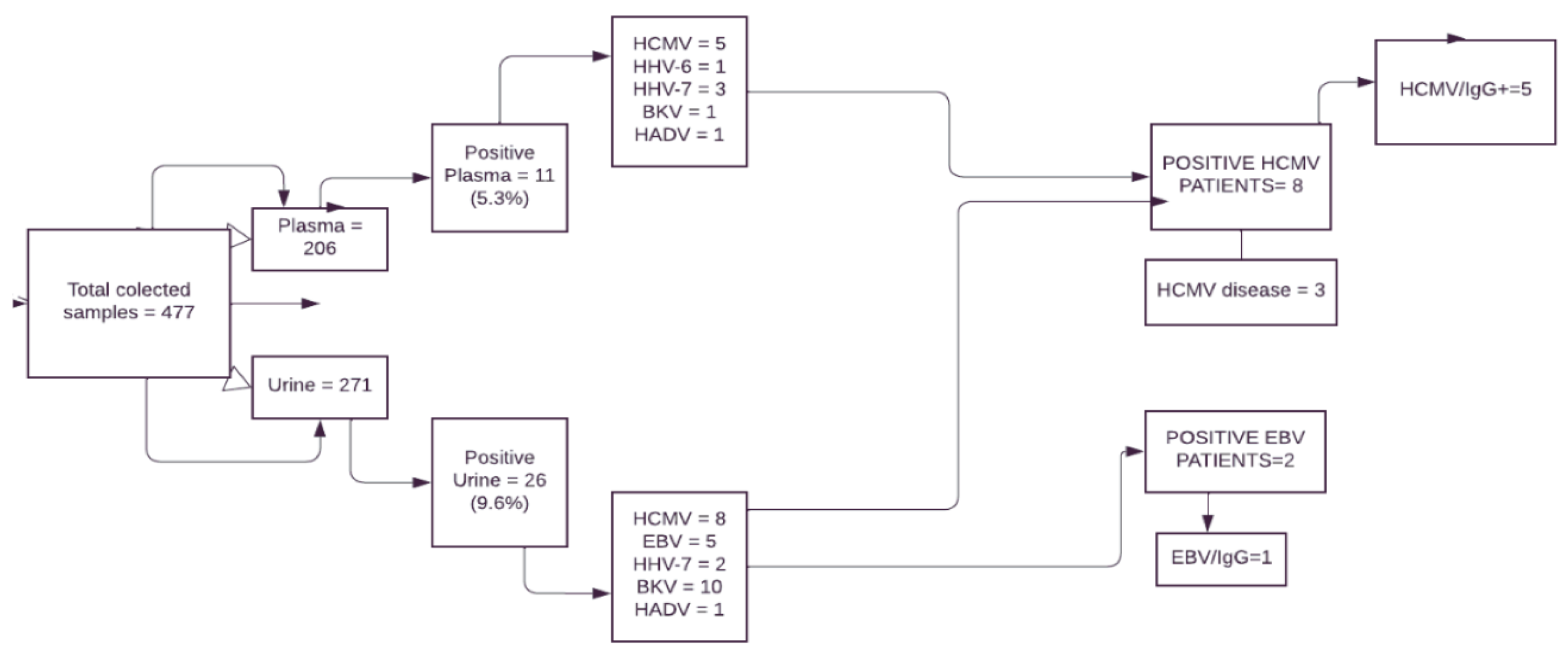 Viruses 16 01017 g002 Viruses 16 01017 g002