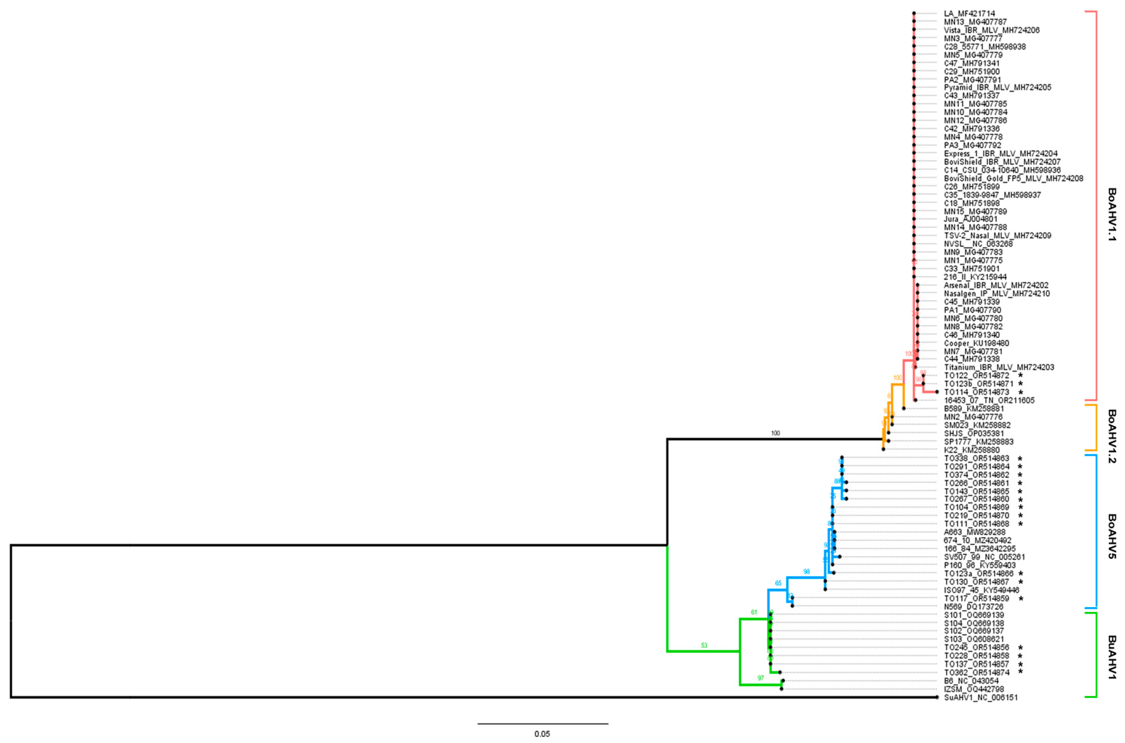 Viruses 16 01024 g002