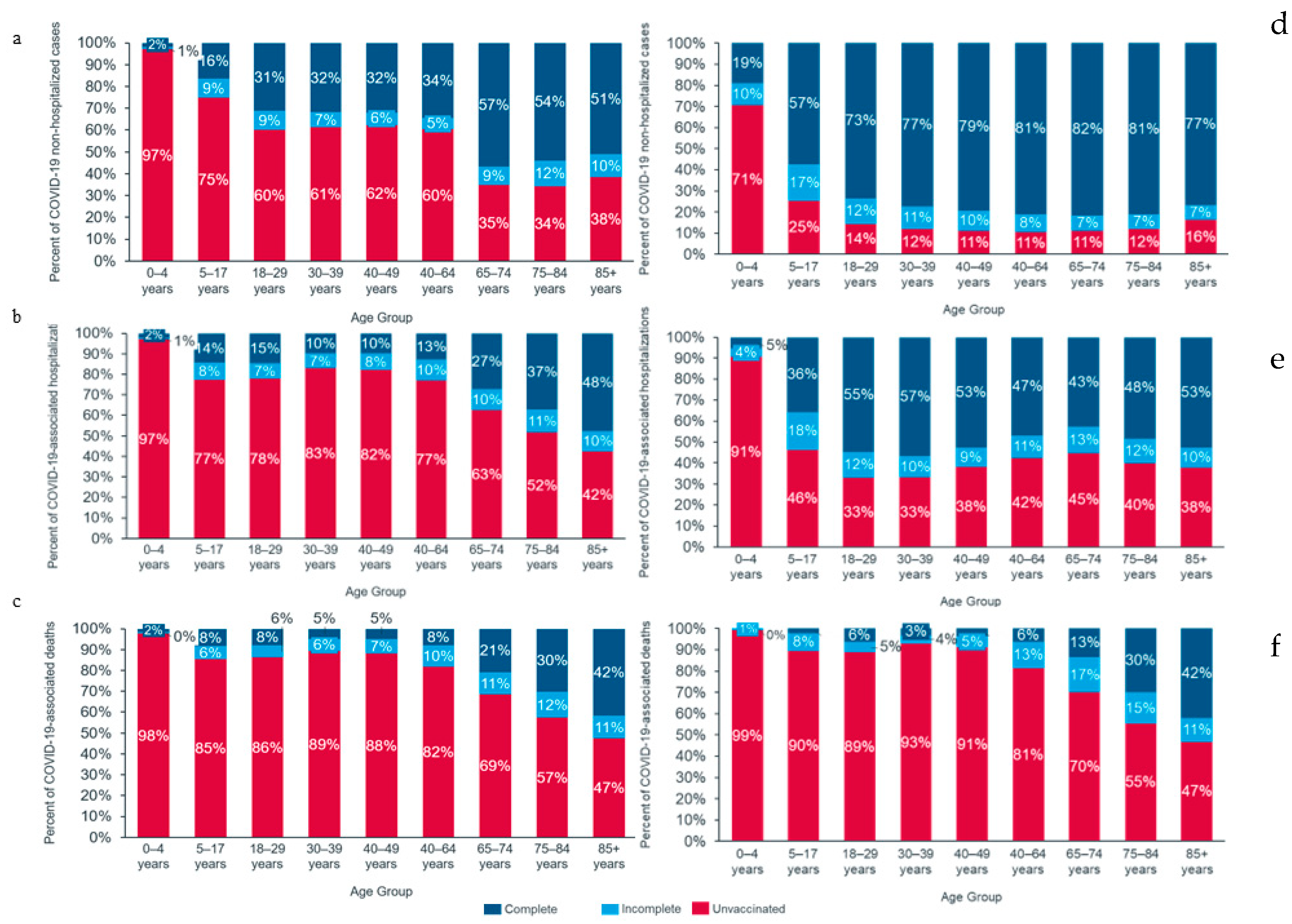 Viruses 16 01025 g001