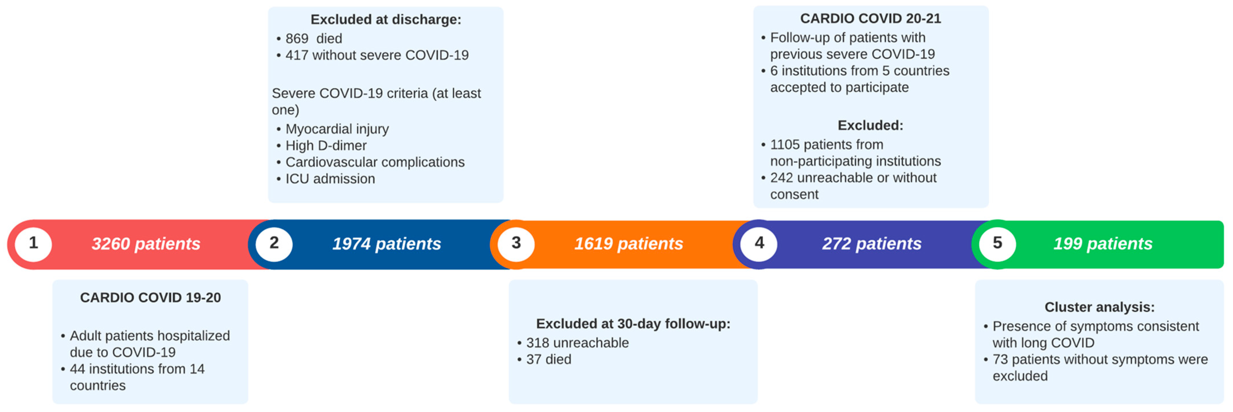 Viruses 16 01028 g001