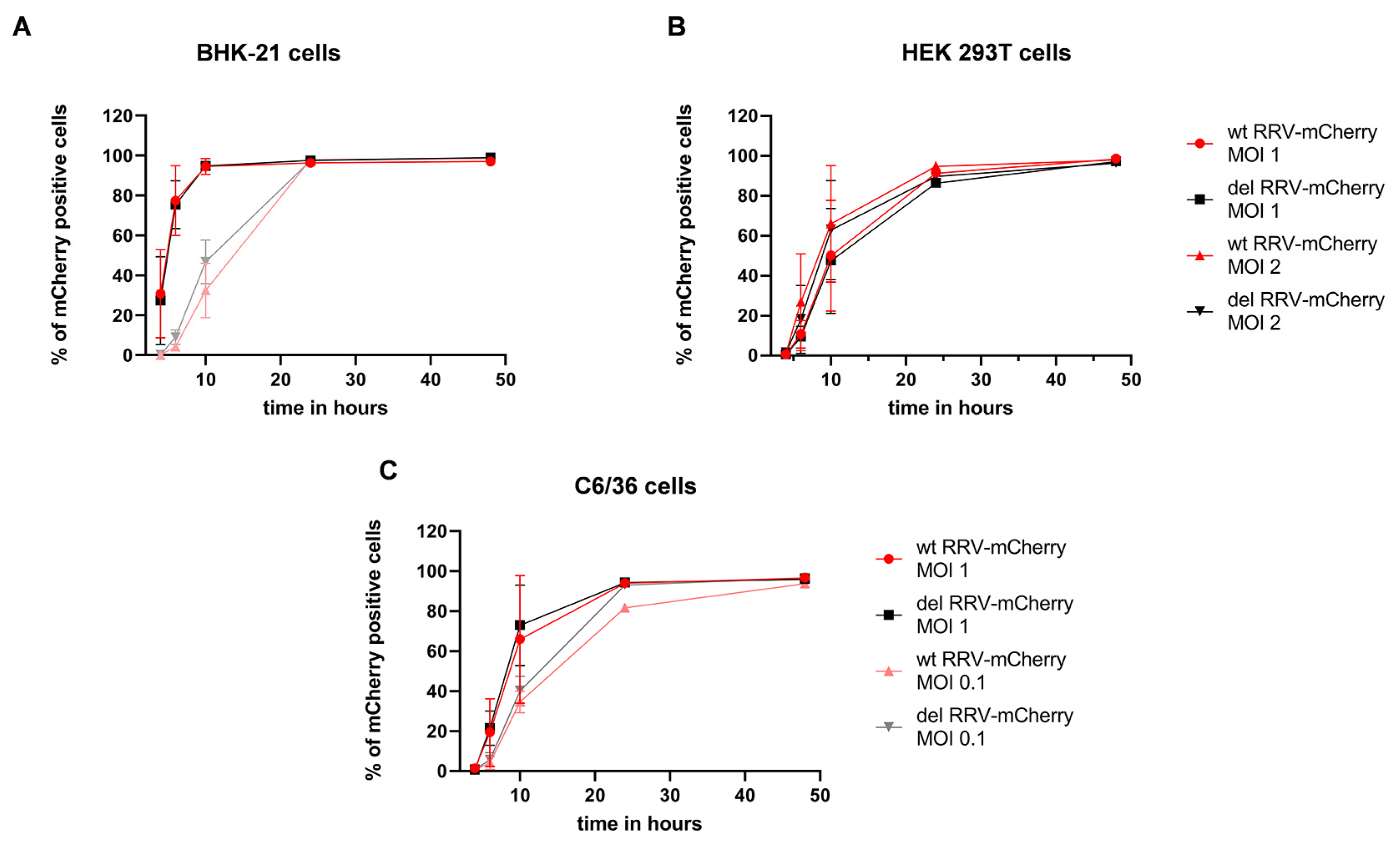 Viruses 16 01033 g005