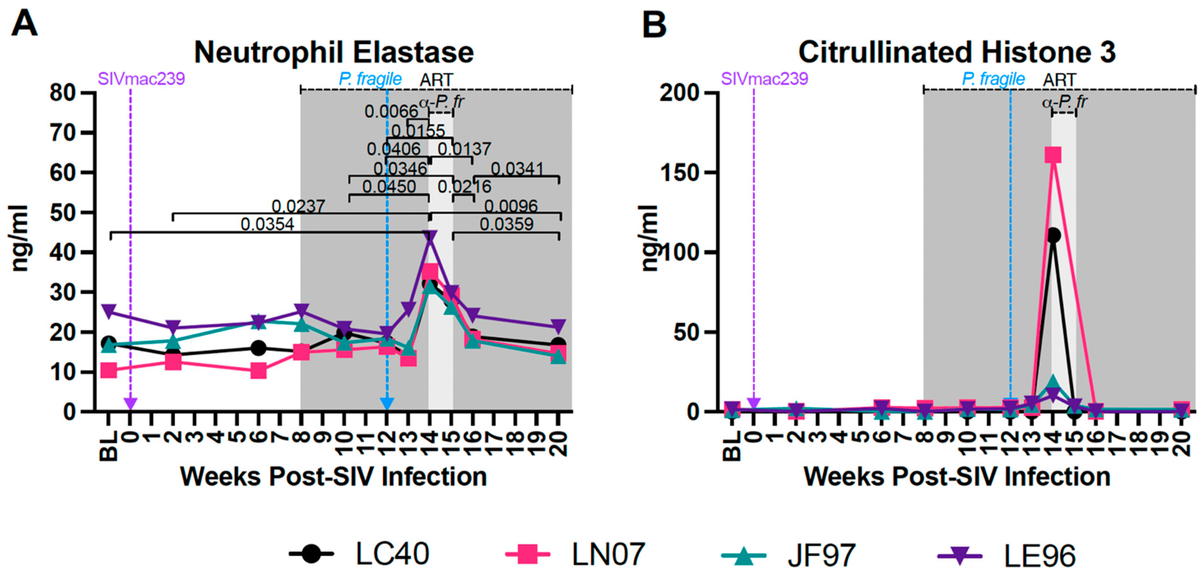 Viruses 16 01036 g007 Viruses 16 01036 g007