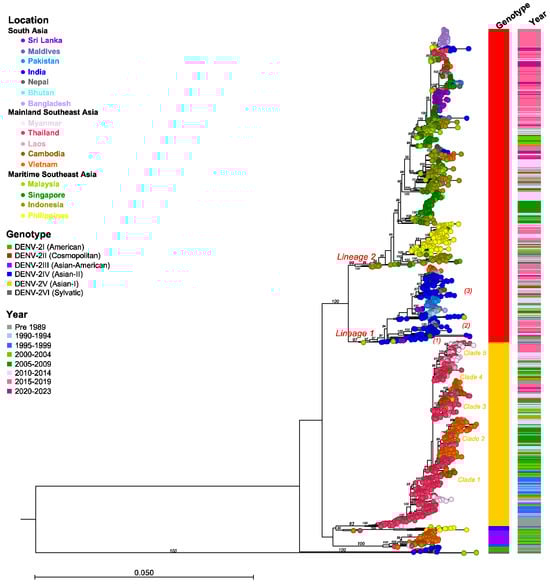 Viruses 16 01046 g005