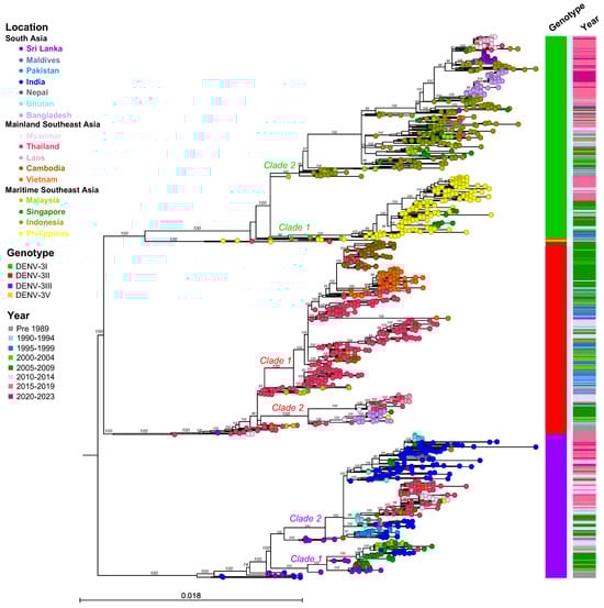 Viruses 16 01046 g007