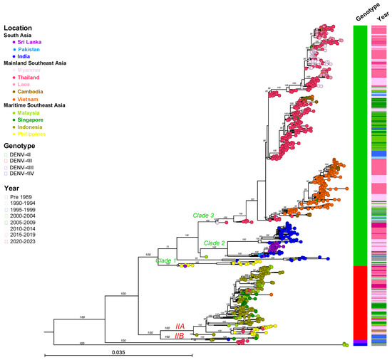 Viruses 16 01046 g009
