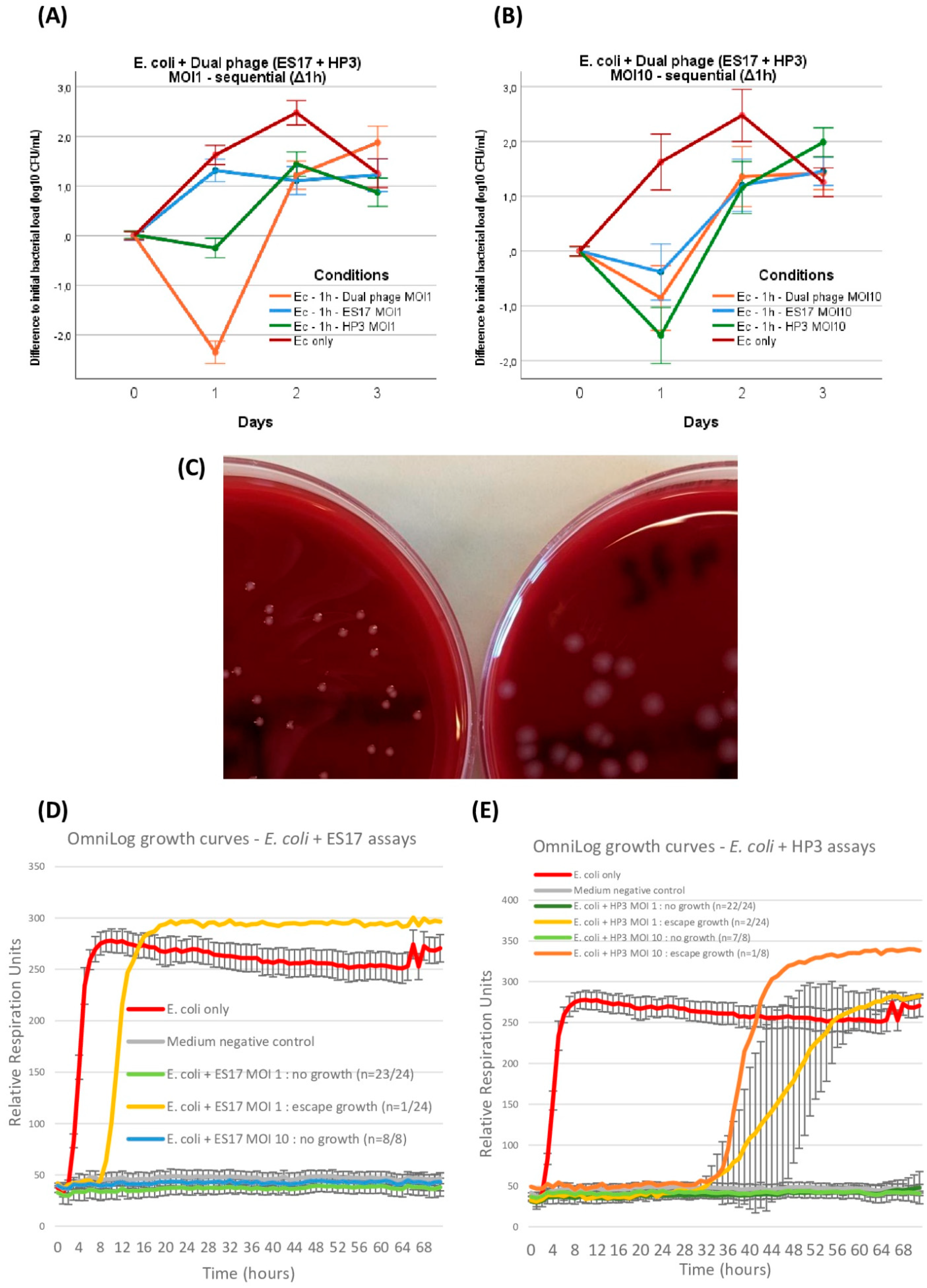 Viruses 16 01047 g007