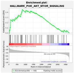Viruses 16 01052 i002