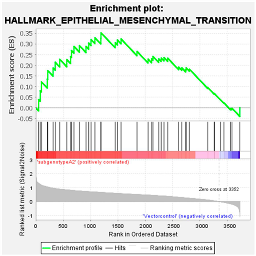 Viruses 16 01052 i005